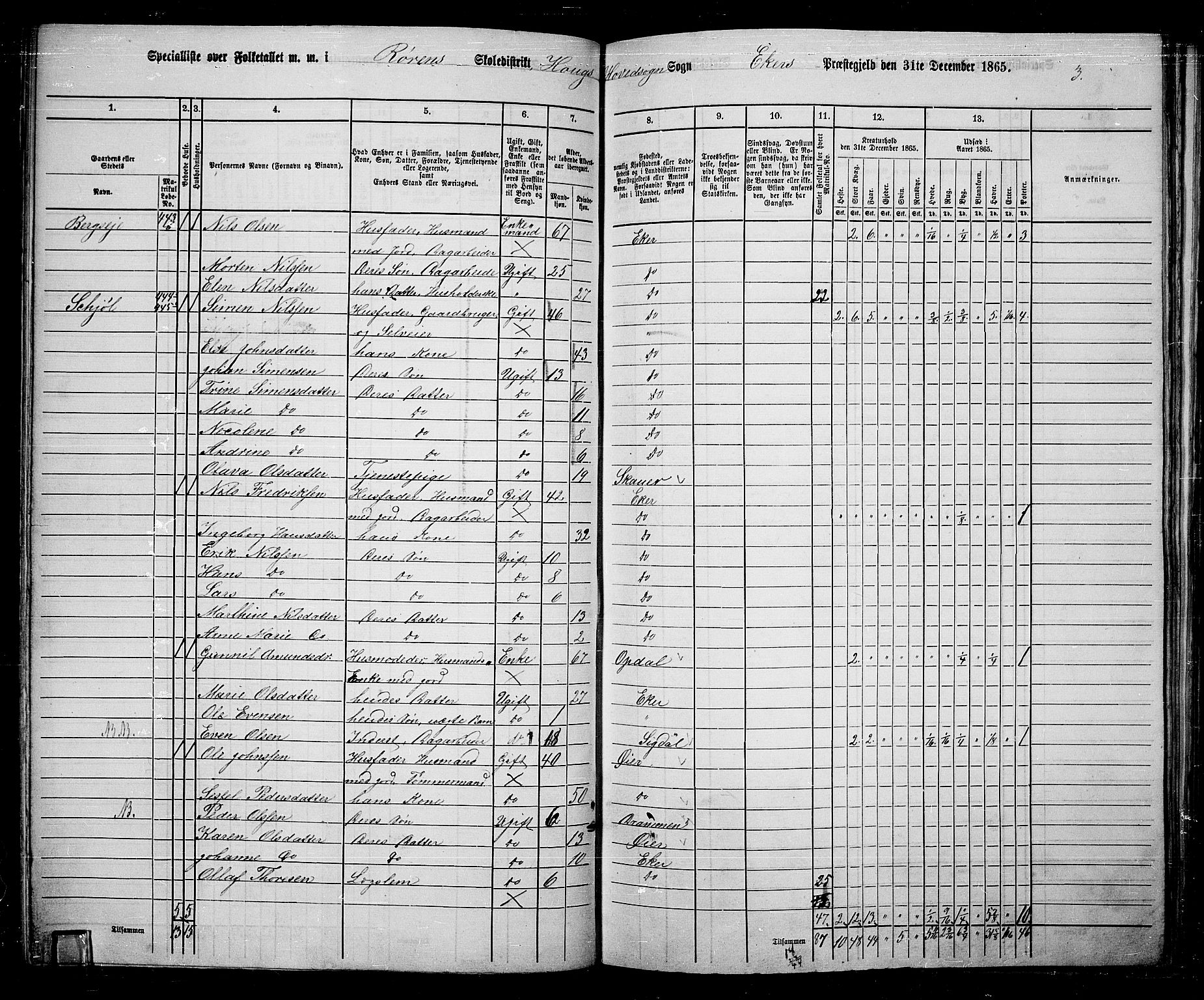 RA, 1865 census for Eiker, 1865, p. 107