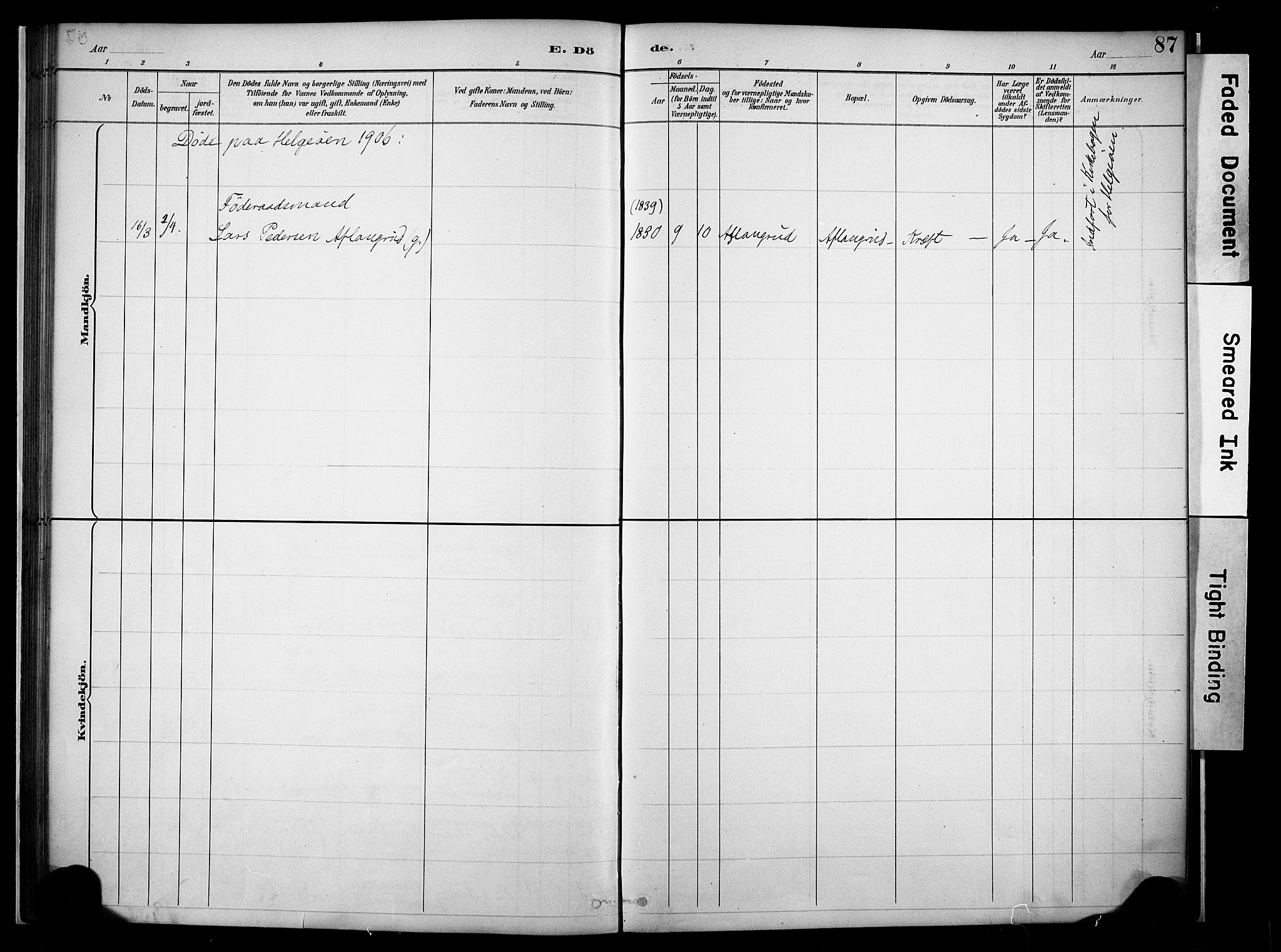 Nes prestekontor, Hedmark, AV/SAH-PREST-020/K/Ka/L0011: Parish register (official) no. 11, 1887-1905, p. 87