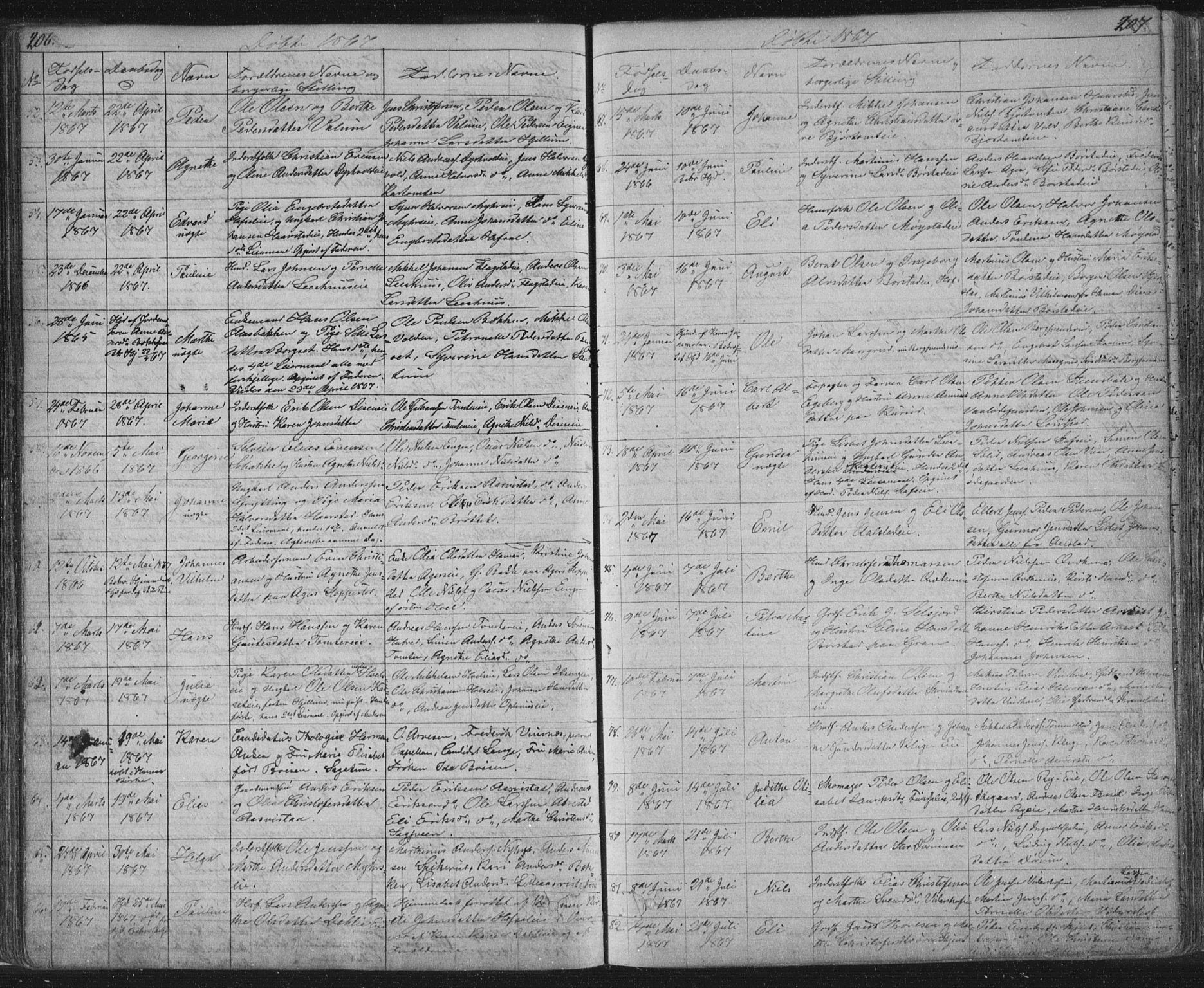 Vang prestekontor, Hedmark, AV/SAH-PREST-008/H/Ha/Hab/L0010A: Parish register (copy) no. 10a, 1854-1896, p. 206-207