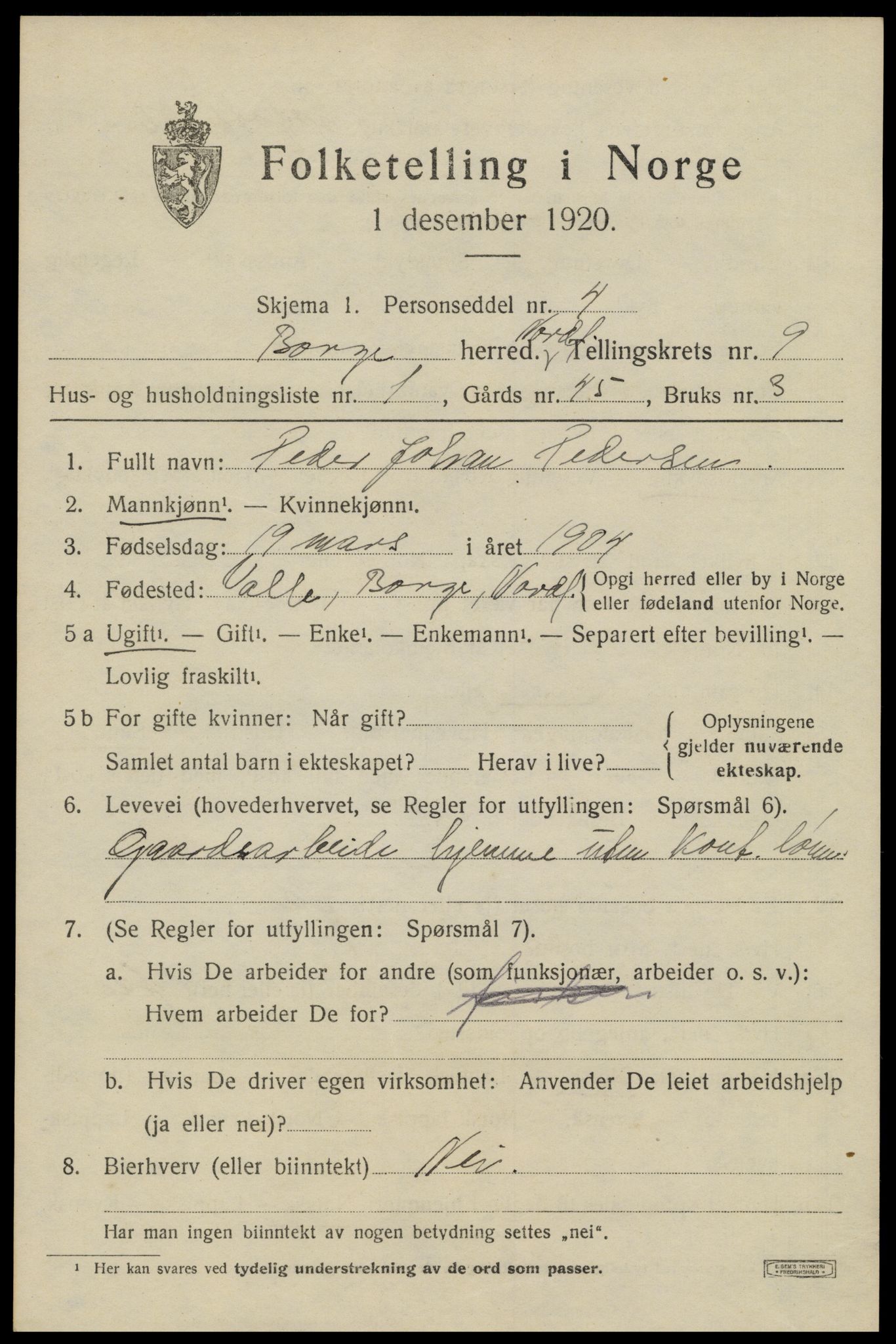 SAT, 1920 census for Borge, 1920, p. 8033