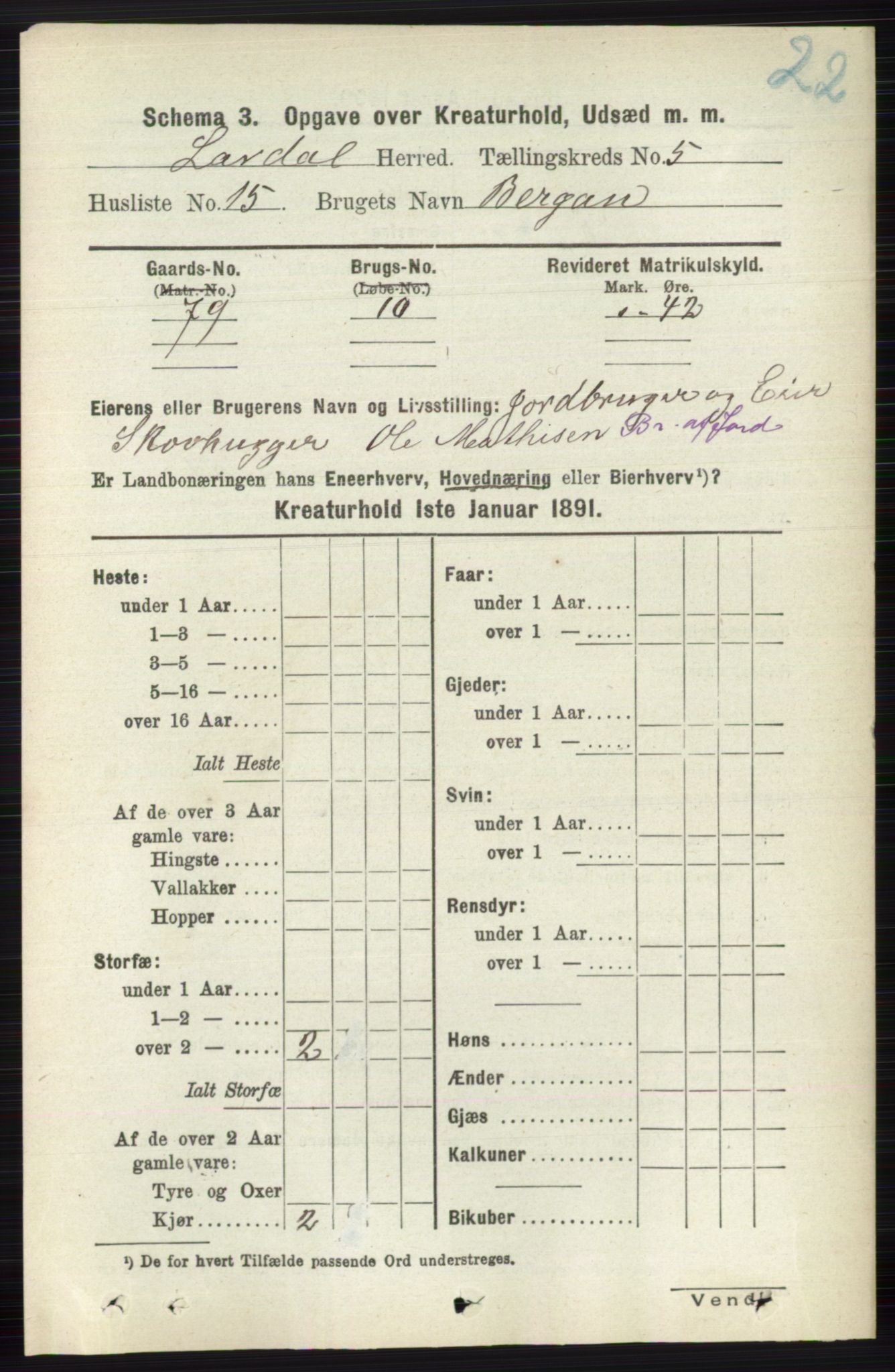 RA, 1891 census for 0728 Lardal, 1891, p. 4067