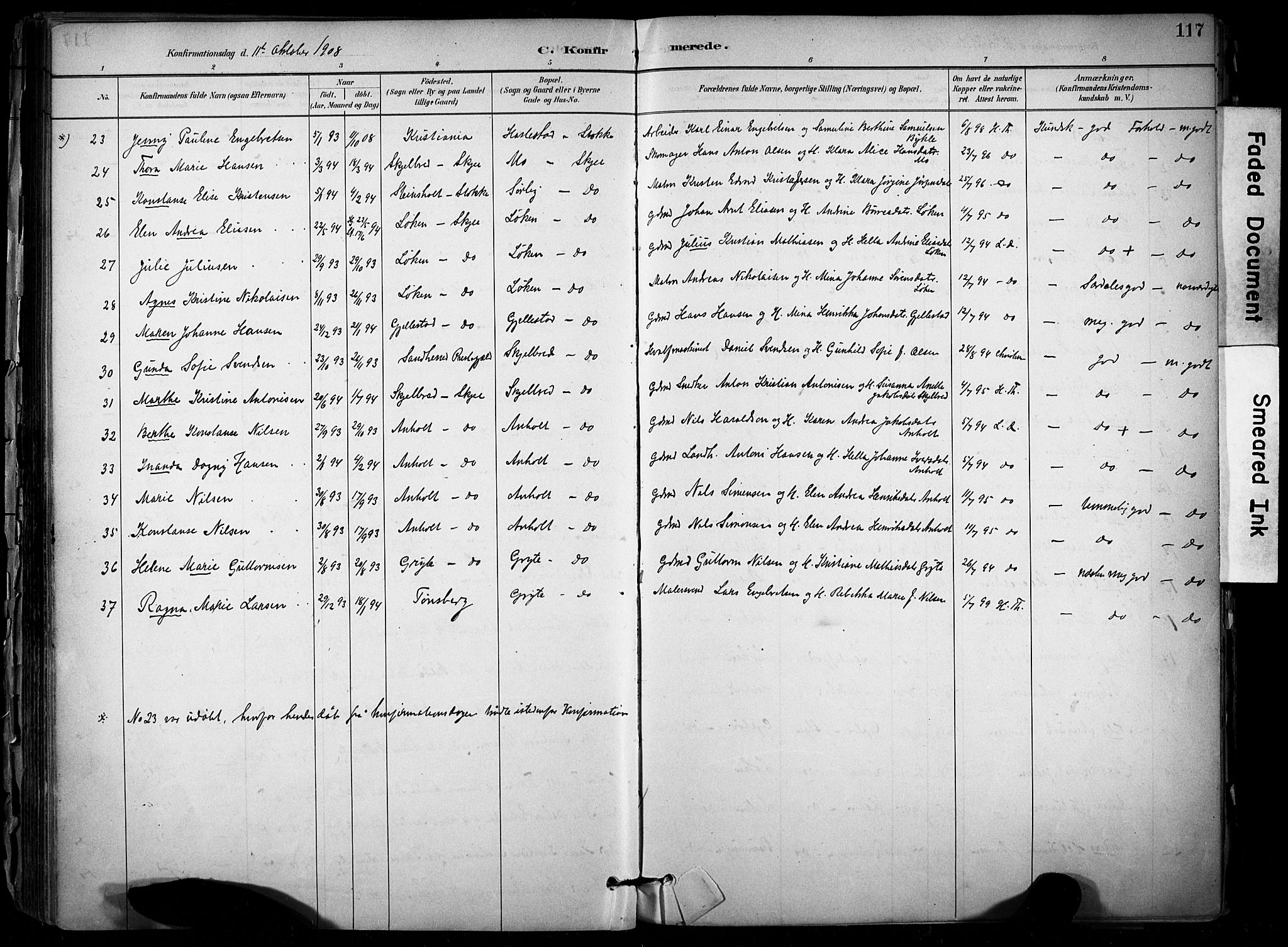 Stokke kirkebøker, AV/SAKO-A-320/F/Fb/L0001: Parish register (official) no. II 1, 1884-1910, p. 117