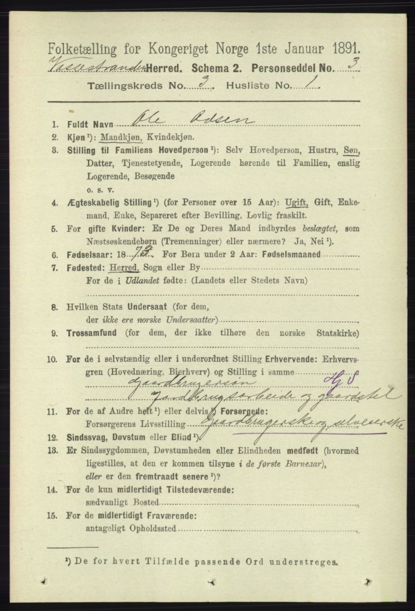 RA, 1891 census for 1236 Vossestrand, 1891, p. 1243