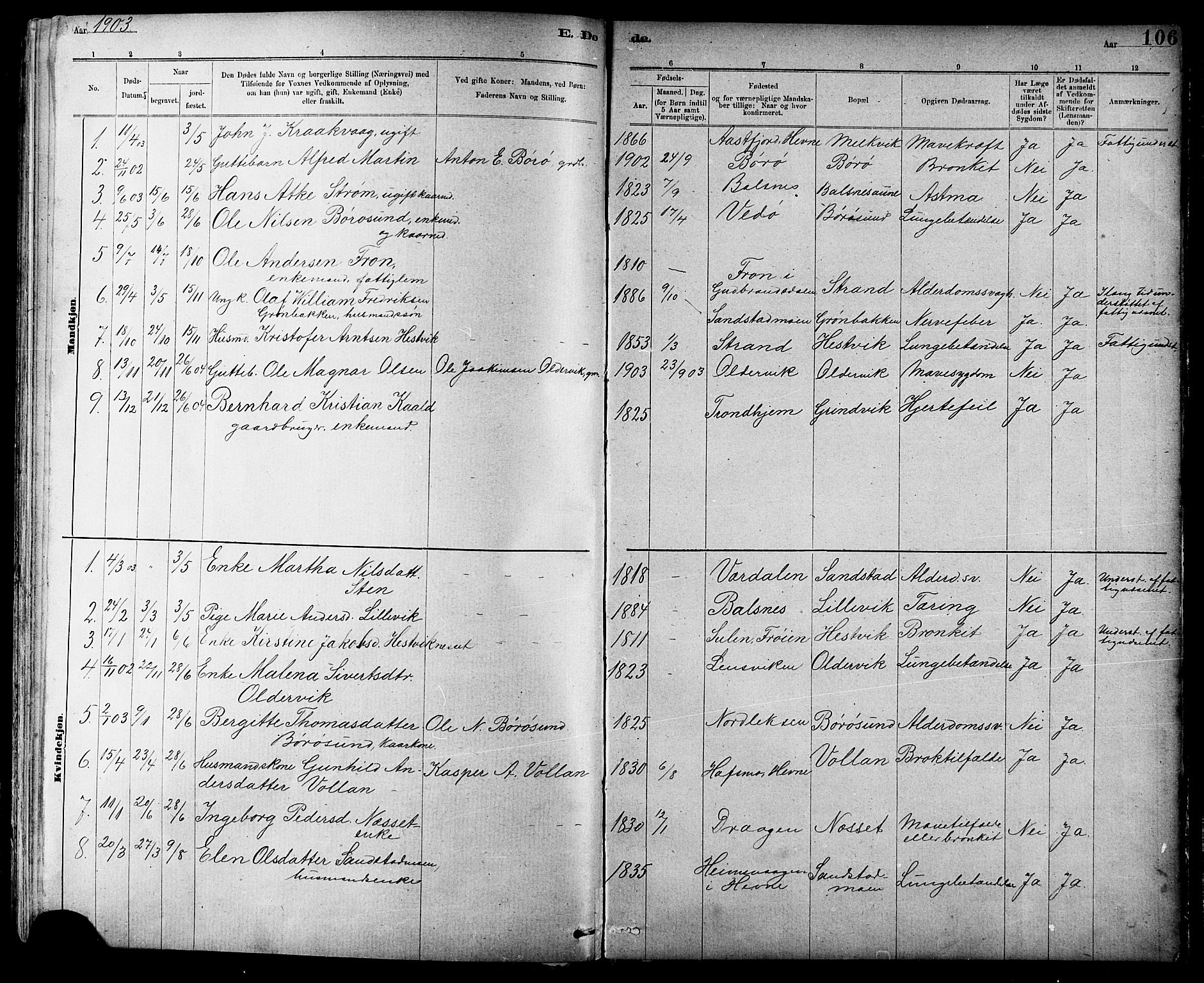 Ministerialprotokoller, klokkerbøker og fødselsregistre - Sør-Trøndelag, SAT/A-1456/639/L0573: Parish register (copy) no. 639C01, 1890-1905, p. 106