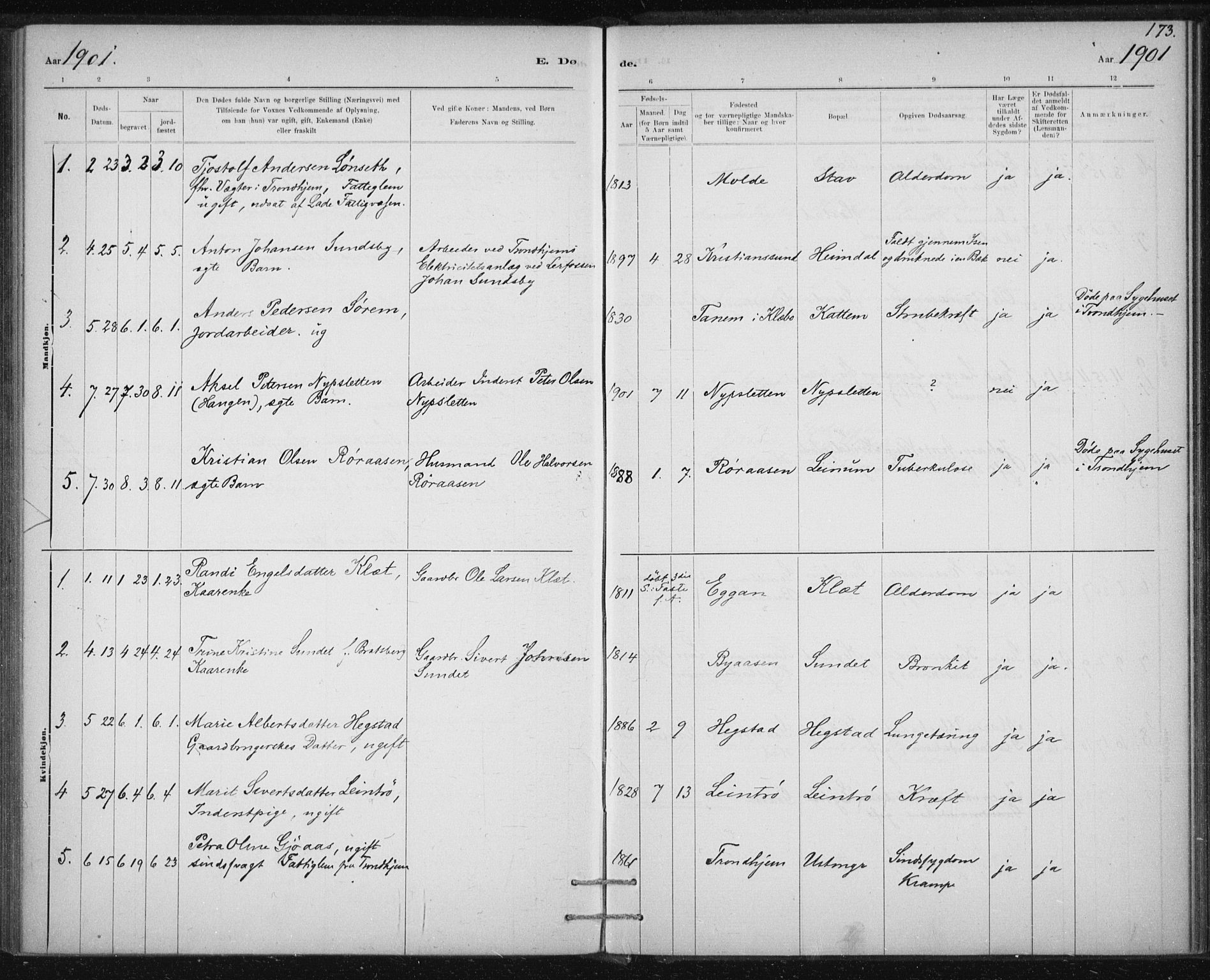 Ministerialprotokoller, klokkerbøker og fødselsregistre - Sør-Trøndelag, SAT/A-1456/613/L0392: Parish register (official) no. 613A01, 1887-1906, p. 173