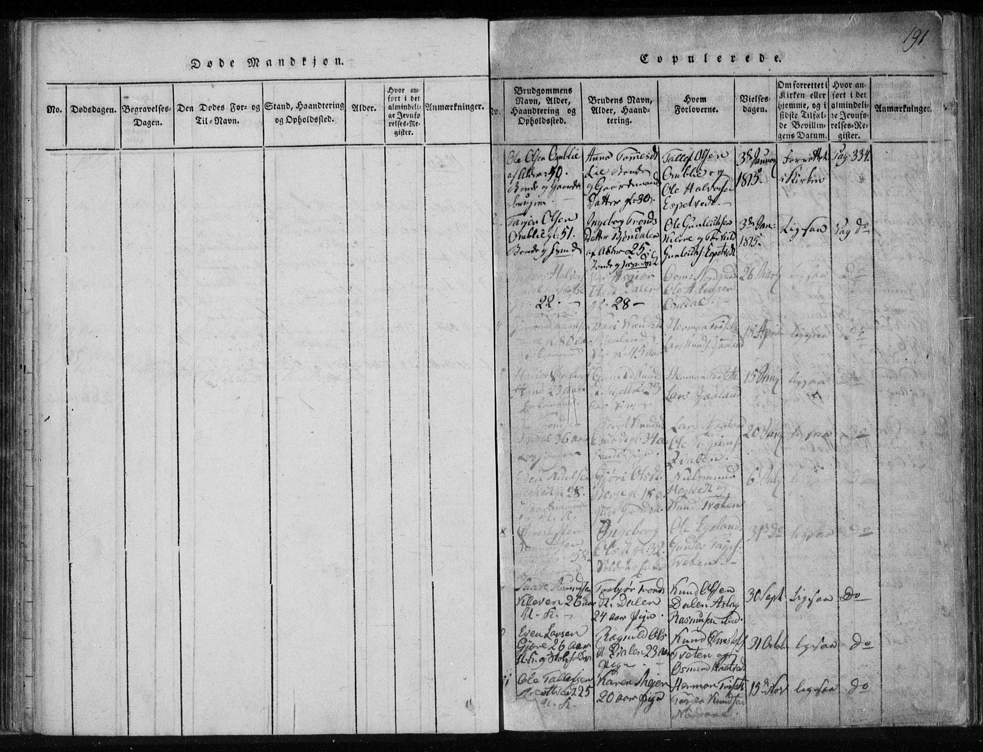 Lårdal kirkebøker, SAKO/A-284/F/Fa/L0005: Parish register (official) no. I 5, 1815-1860, p. 191
