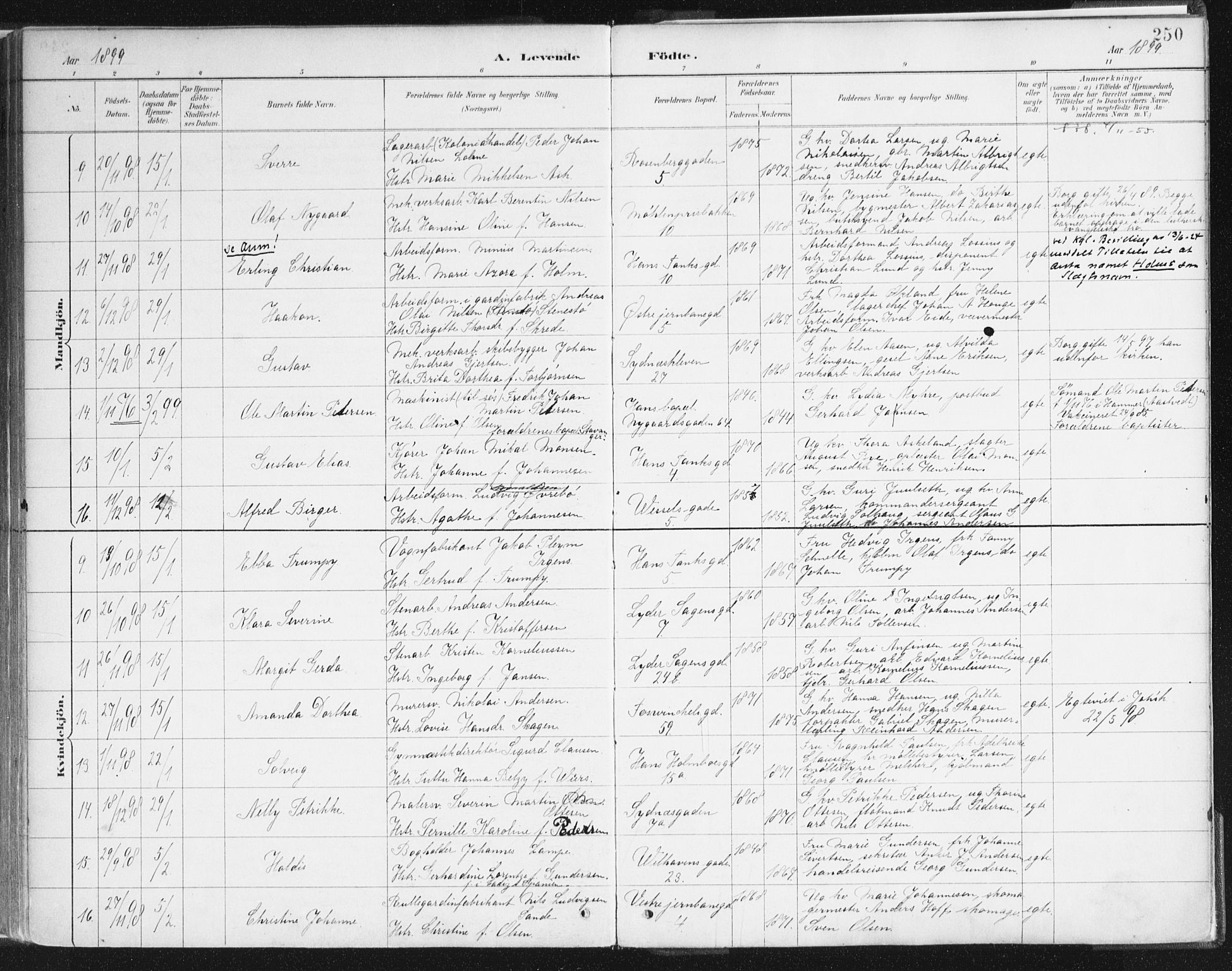 Johanneskirken sokneprestembete, SAB/A-76001/H/Haa/L0001: Parish register (official) no. A 1, 1885-1900, p. 250