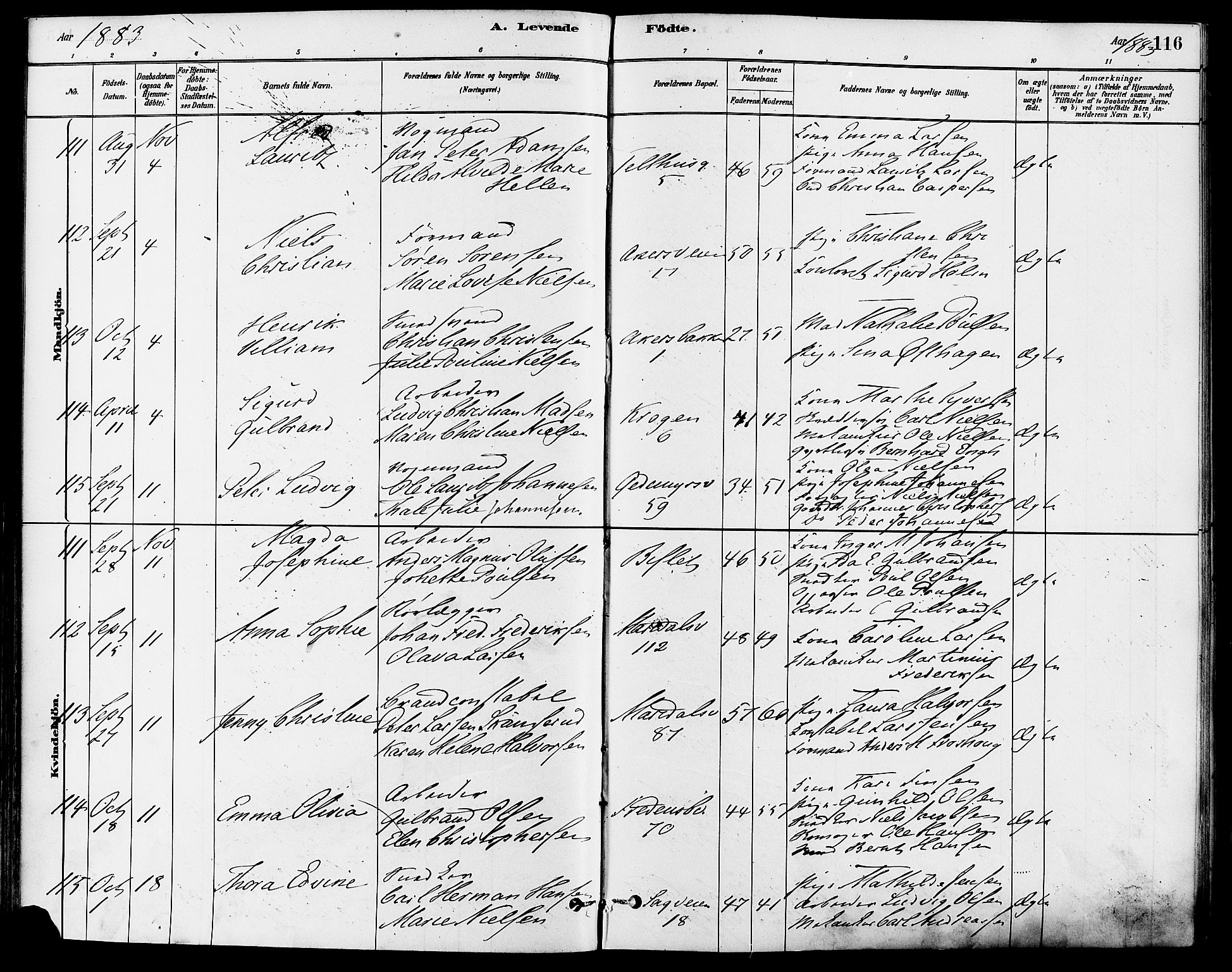 Gamle Aker prestekontor Kirkebøker, SAO/A-10617a/F/L0006: Parish register (official) no. 6, 1880-1887, p. 116