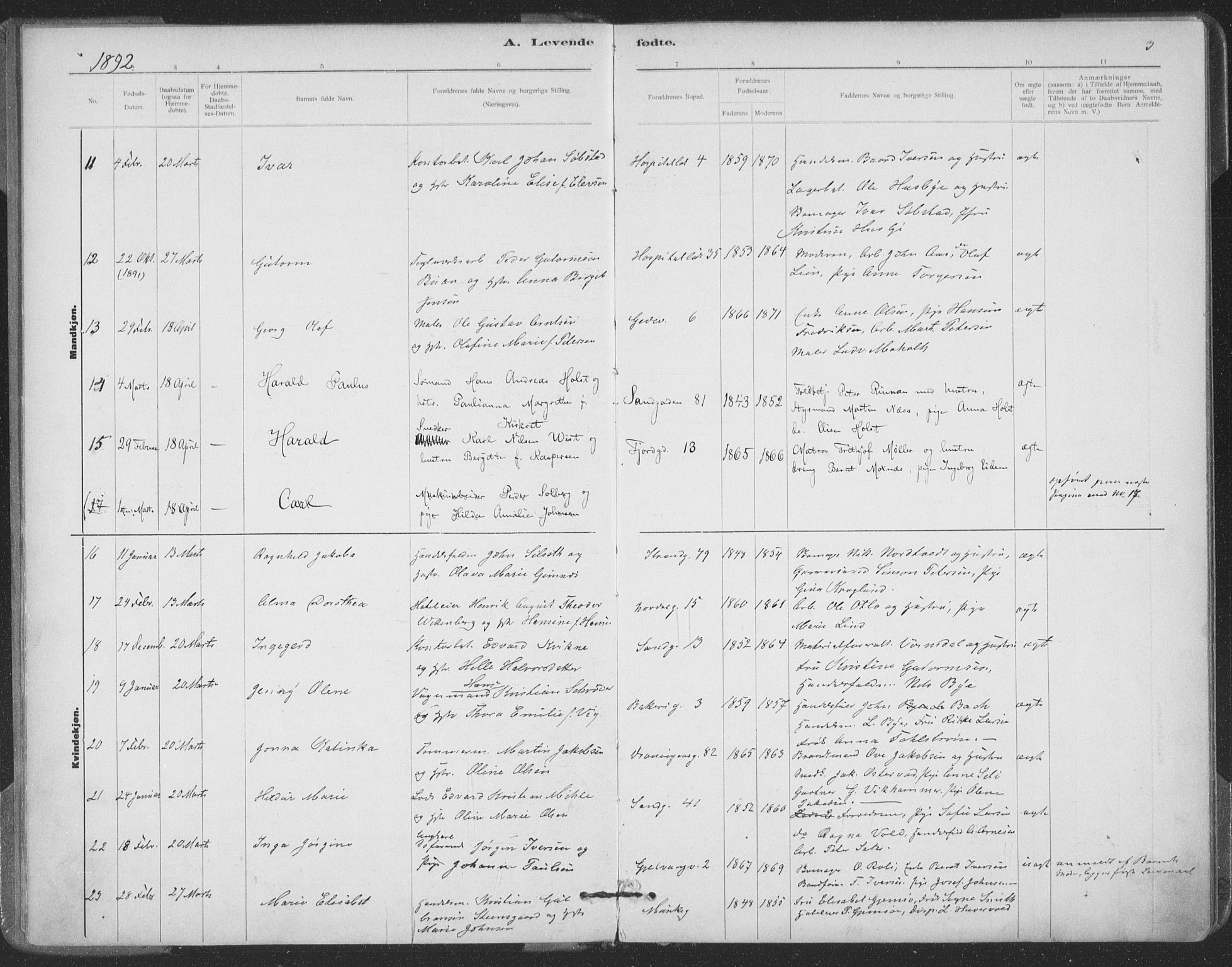 Ministerialprotokoller, klokkerbøker og fødselsregistre - Sør-Trøndelag, SAT/A-1456/602/L0122: Parish register (official) no. 602A20, 1892-1908, p. 3