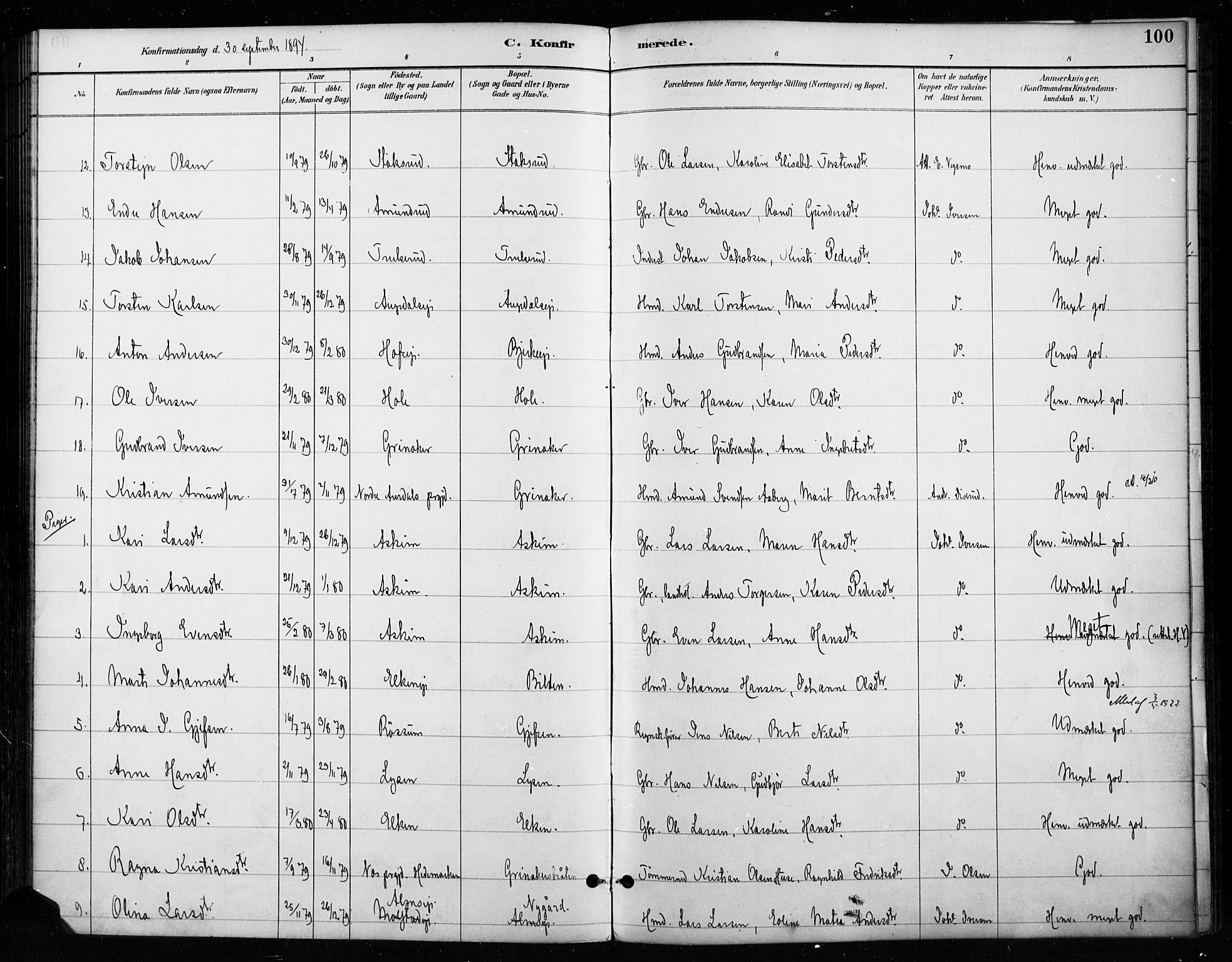 Gran prestekontor, SAH/PREST-112/H/Ha/Haa/L0018: Parish register (official) no. 18, 1889-1899, p. 100