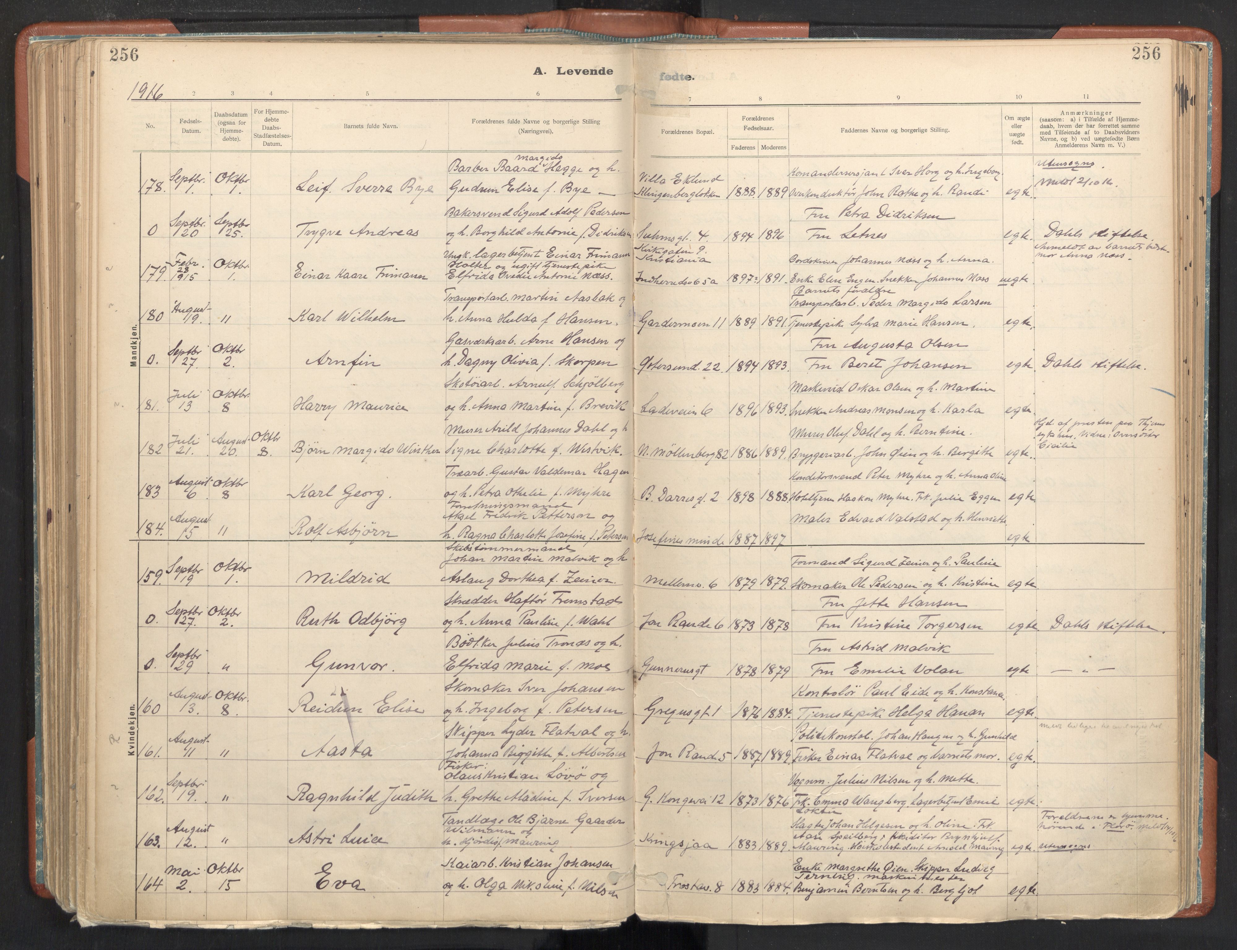 Ministerialprotokoller, klokkerbøker og fødselsregistre - Sør-Trøndelag, AV/SAT-A-1456/605/L0243: Parish register (official) no. 605A05, 1908-1923, p. 256