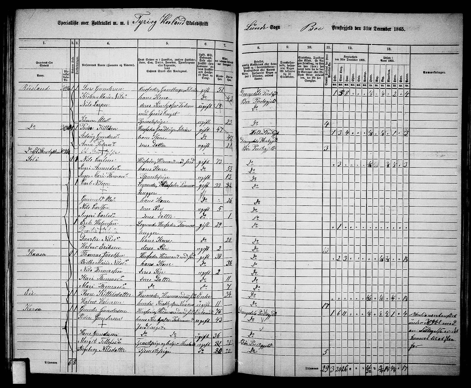 RA, 1865 census for Bø, 1865, p. 78