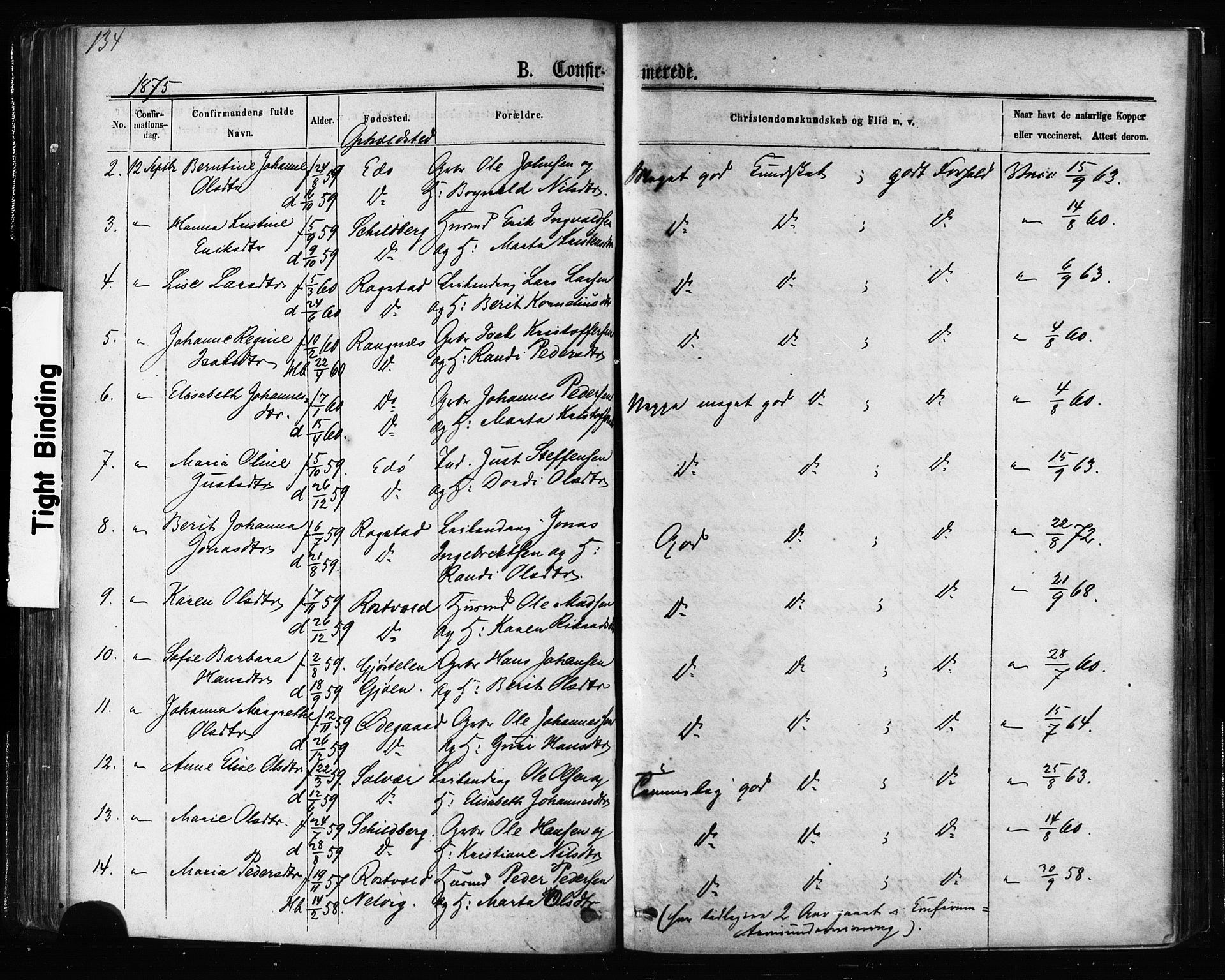 Ministerialprotokoller, klokkerbøker og fødselsregistre - Møre og Romsdal, AV/SAT-A-1454/581/L0938: Parish register (official) no. 581A06, 1873-1879, p. 134