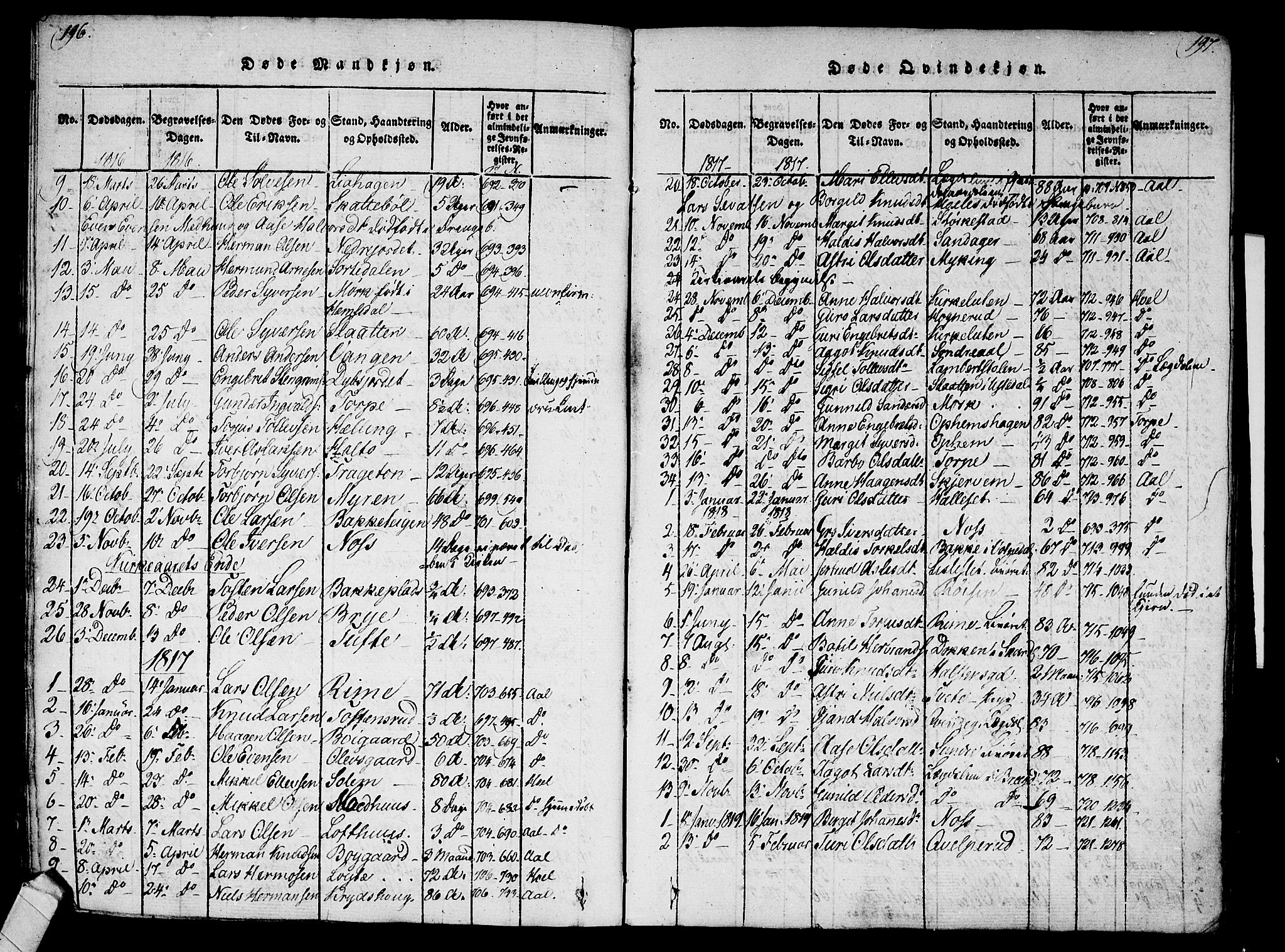 Ål kirkebøker, SAKO/A-249/F/Fa/L0004: Parish register (official) no. I 4, 1815-1825, p. 196-197