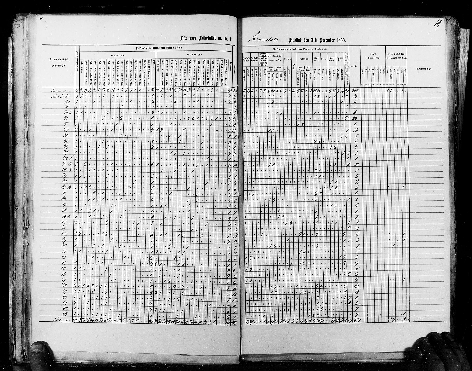 RA, Census 1855, vol. 8: Risør-Vadsø, 1855, p. 19