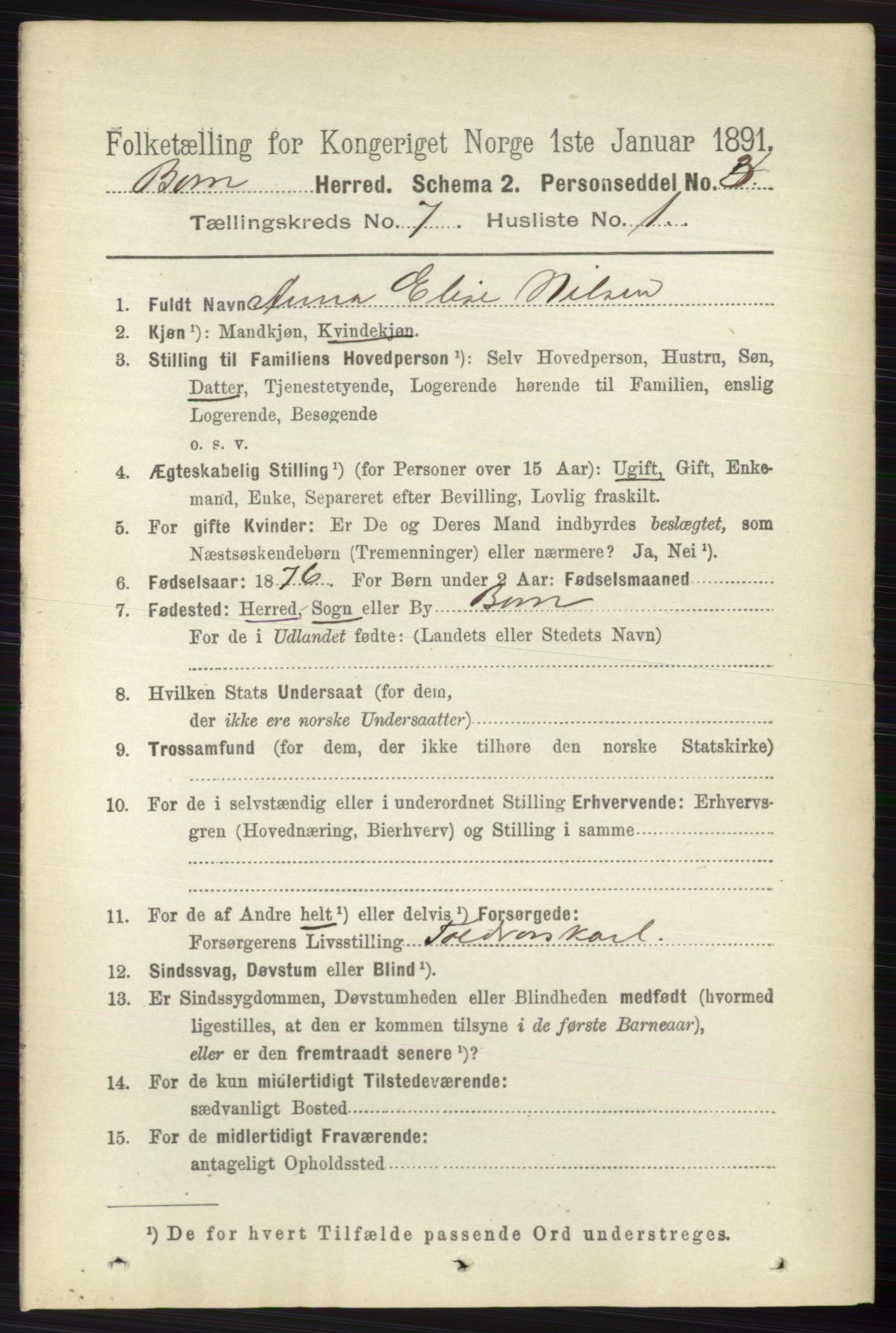 RA, 1891 census for 0717 Borre, 1891, p. 3224