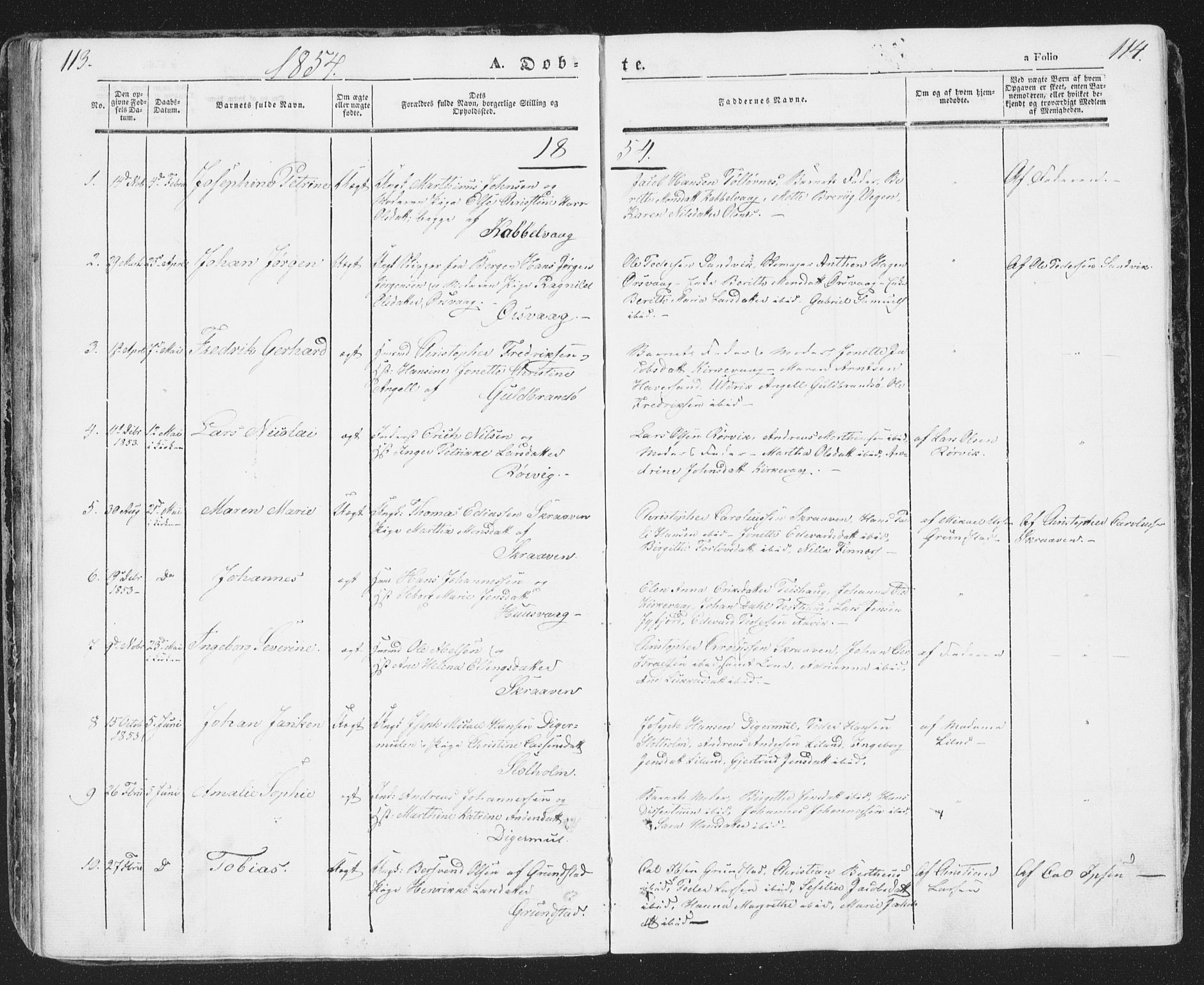 Ministerialprotokoller, klokkerbøker og fødselsregistre - Nordland, AV/SAT-A-1459/874/L1072: Parish register (copy) no. 874C01, 1843-1859, p. 113-114