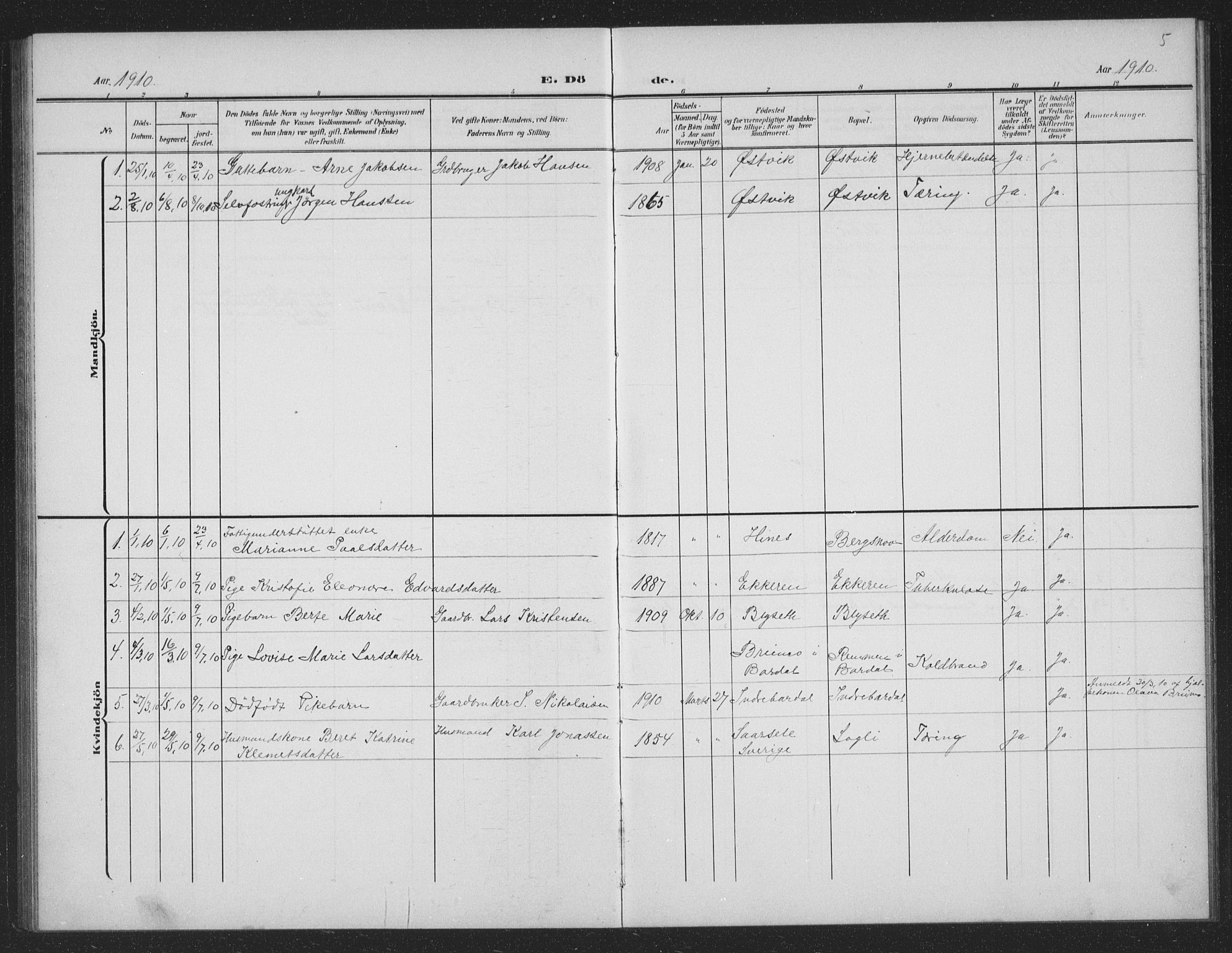 Ministerialprotokoller, klokkerbøker og fødselsregistre - Nordland, AV/SAT-A-1459/833/L0502: Parish register (copy) no. 833C01, 1906-1934, p. 5