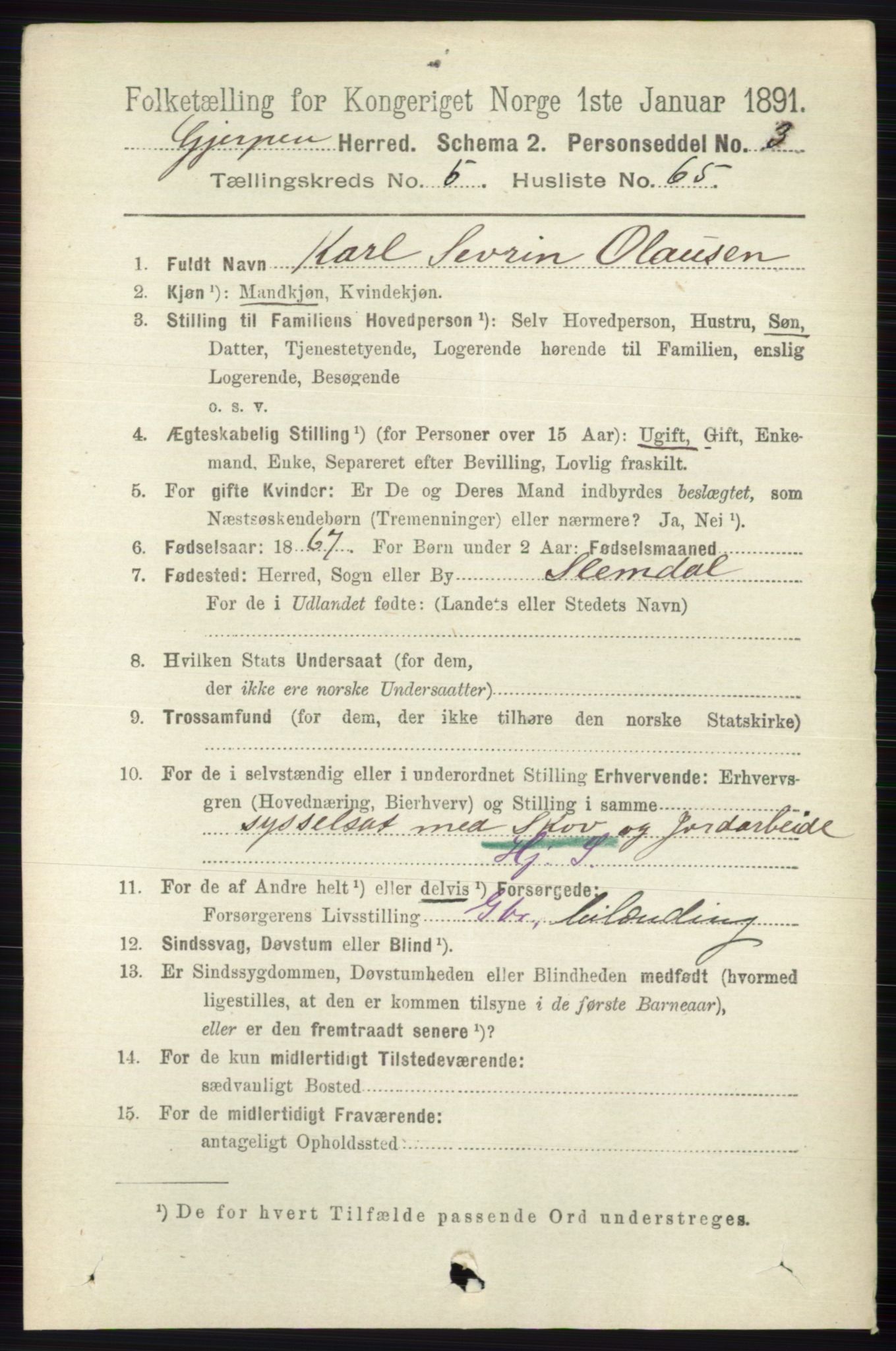 RA, 1891 census for 0812 Gjerpen, 1891, p. 2906