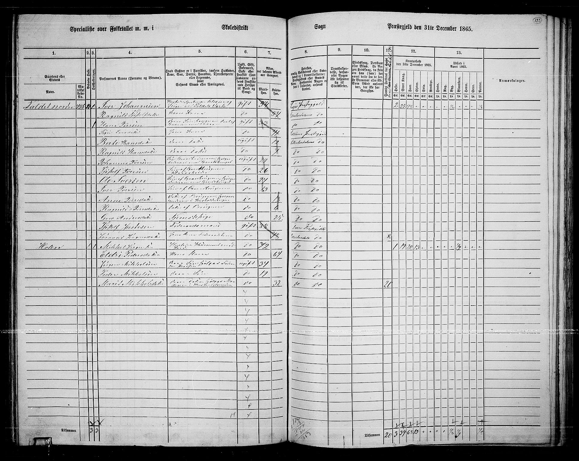 RA, 1865 census for Lille Elvedalen, 1865, p. 113