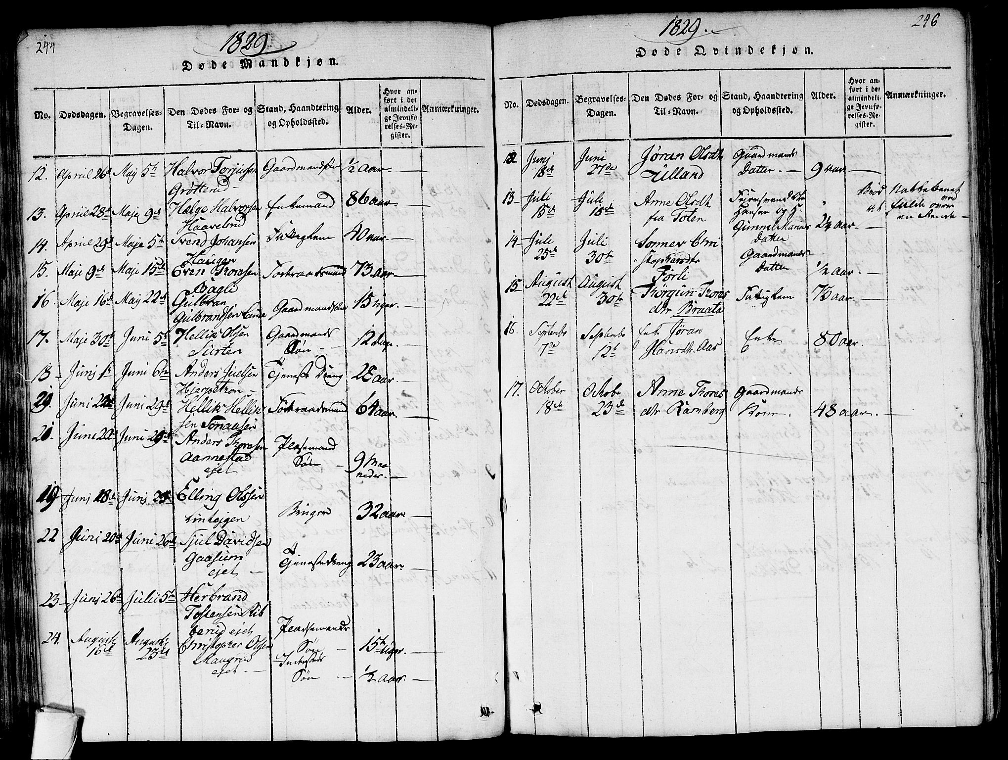 Flesberg kirkebøker, SAKO/A-18/G/Ga/L0001: Parish register (copy) no. I 1, 1816-1834, p. 245-246