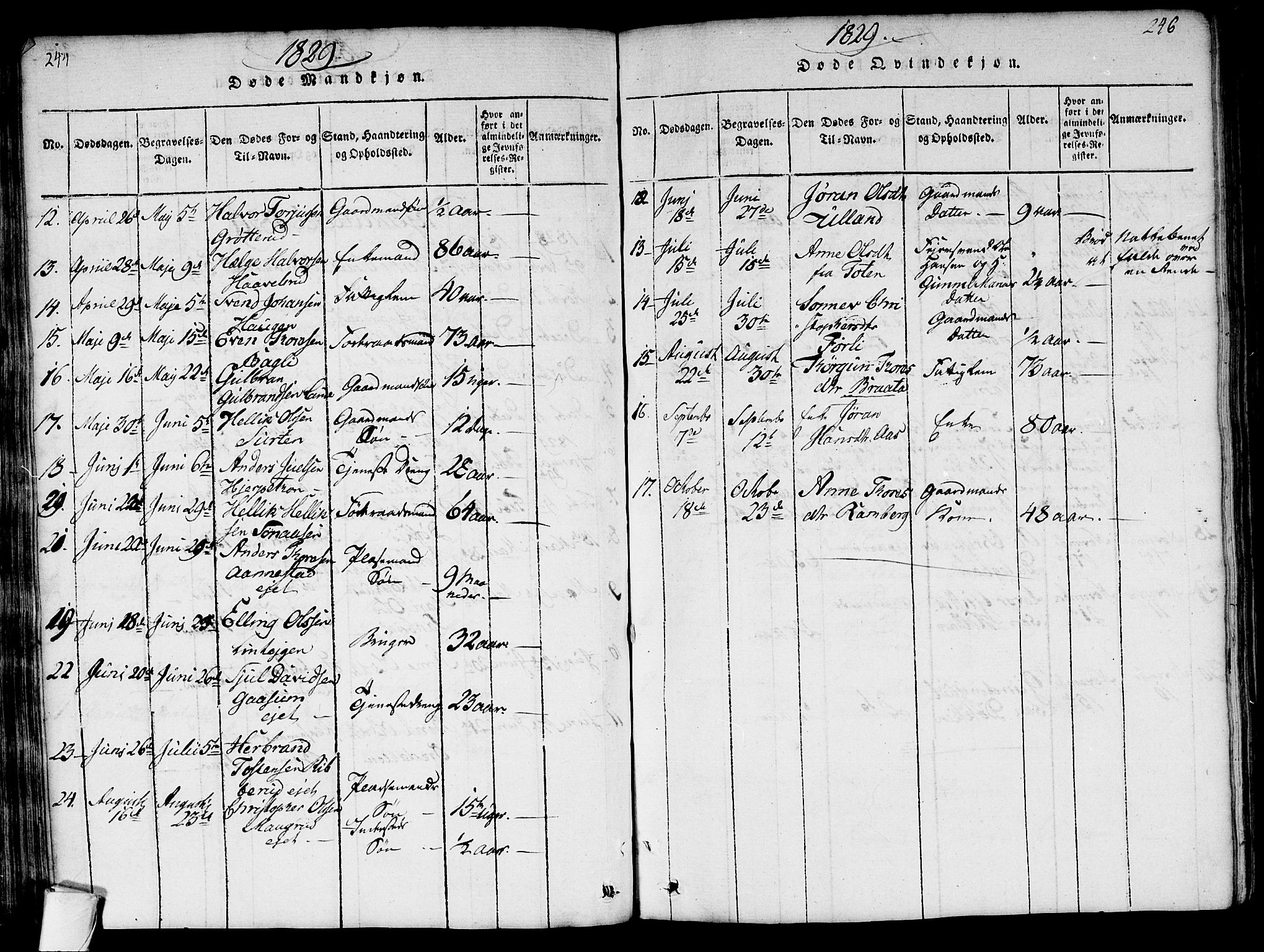 Flesberg kirkebøker, AV/SAKO-A-18/G/Ga/L0001: Parish register (copy) no. I 1, 1816-1834, p. 245-246