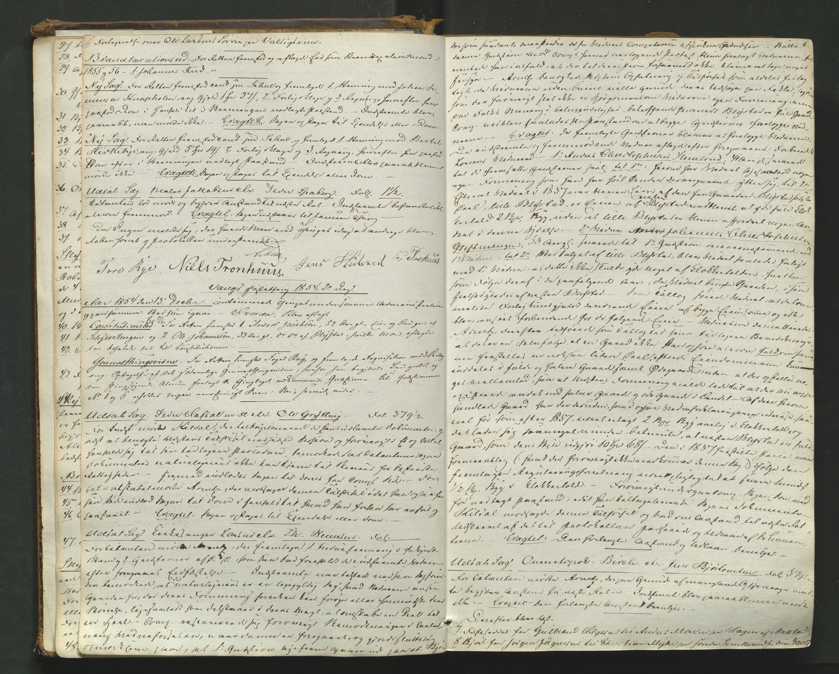 Nord-Hedmark sorenskriveri, AV/SAH-TING-012/G/Gb/L0007: Tingbok, 1854-1862, p. 5b-6a