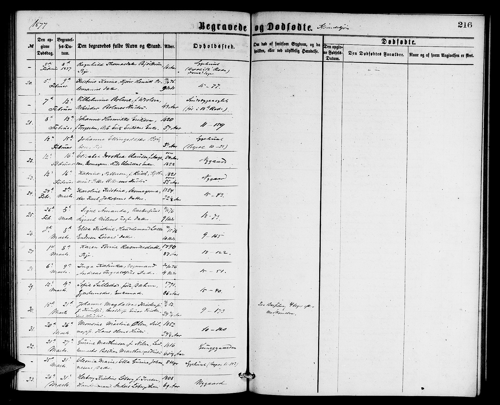 Domkirken sokneprestembete, AV/SAB-A-74801/H/Hab/L0040: Parish register (copy) no. E 4, 1868-1877, p. 216