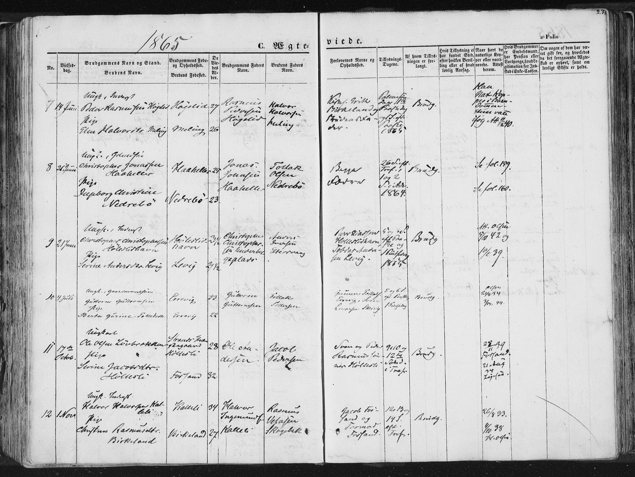Høgsfjord sokneprestkontor, SAST/A-101624/H/Ha/Haa/L0001: Parish register (official) no. A 1, 1854-1875, p. 233