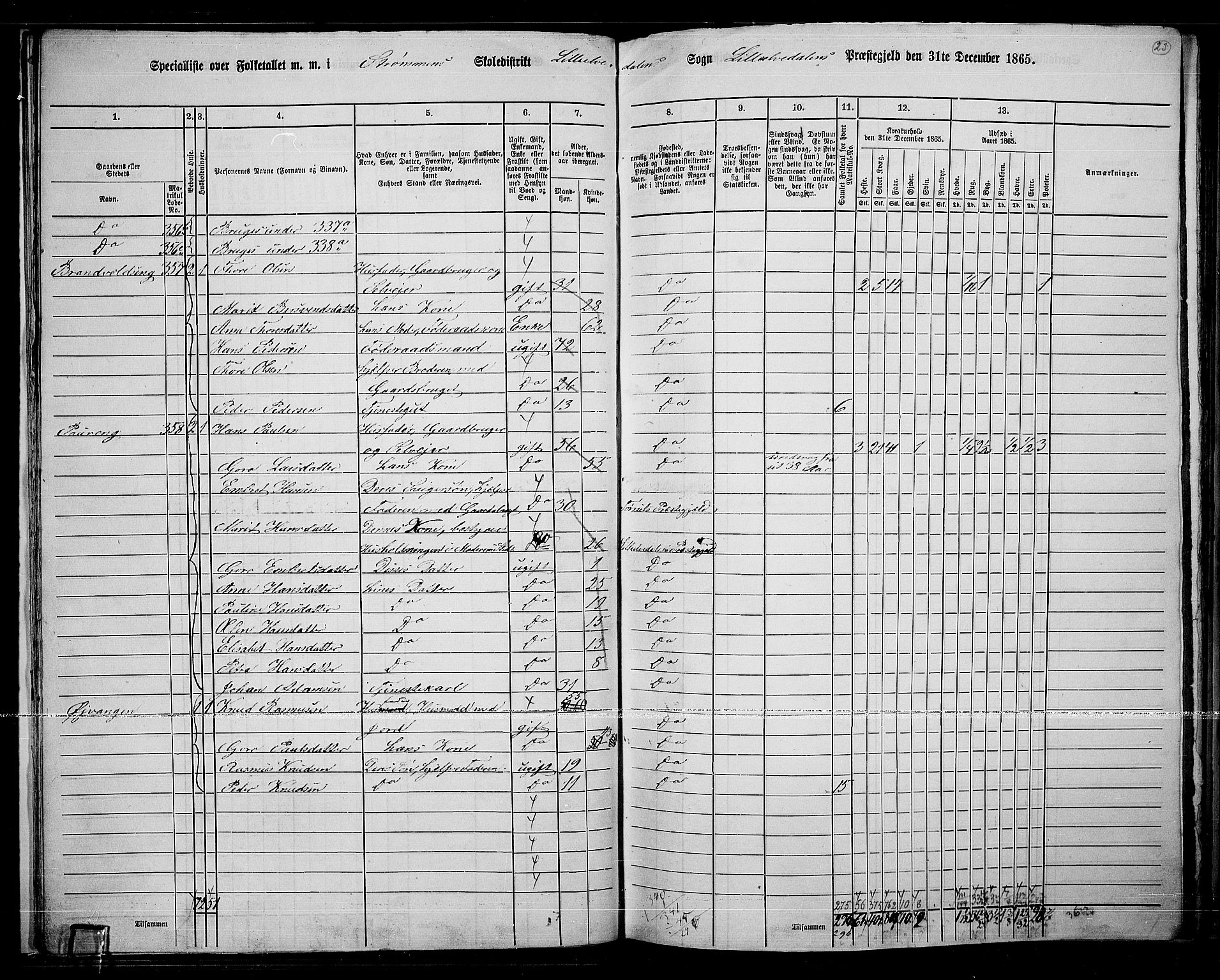 RA, 1865 census for Lille Elvedalen, 1865, p. 24