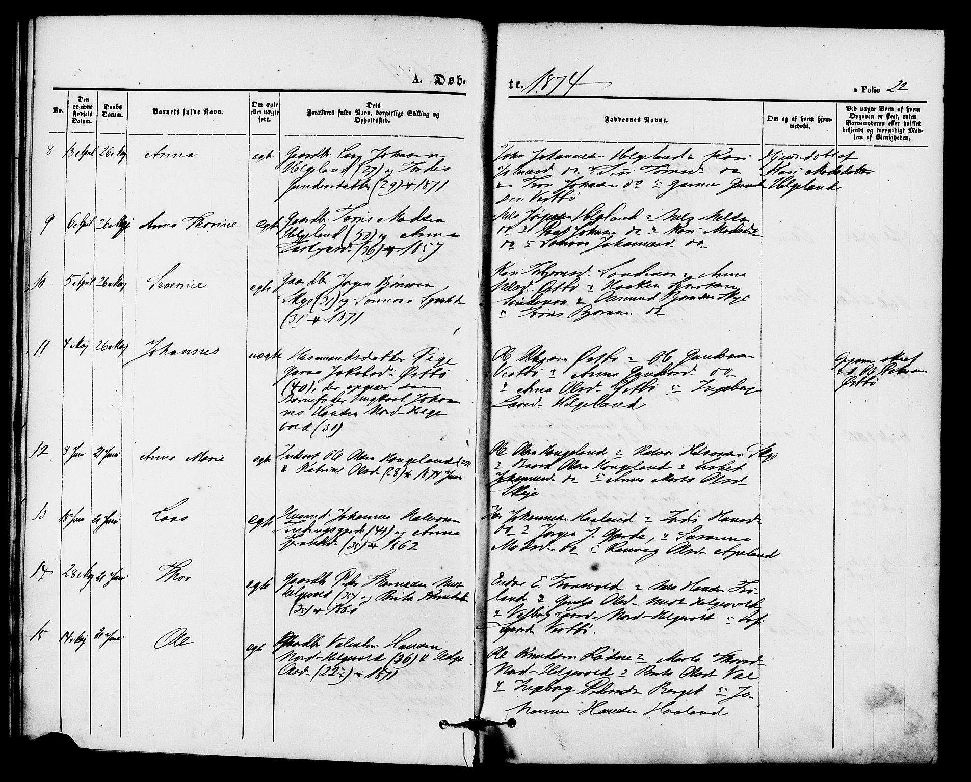 Vikedal sokneprestkontor, AV/SAST-A-101840/01/IV: Parish register (official) no. A 8, 1868-1885, p. 22