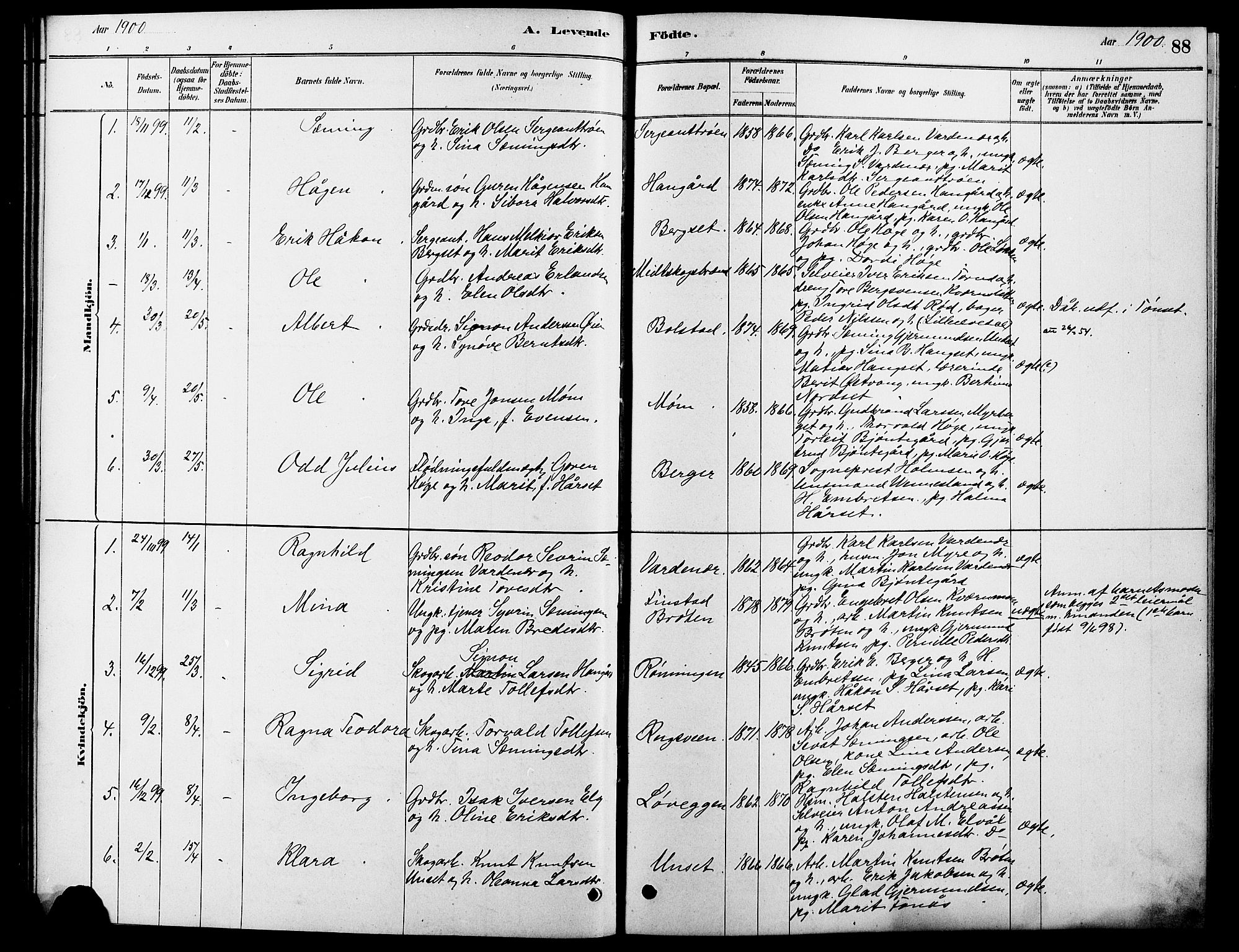 Rendalen prestekontor, SAH/PREST-054/H/Ha/Hab/L0003: Parish register (copy) no. 3, 1879-1904, p. 88