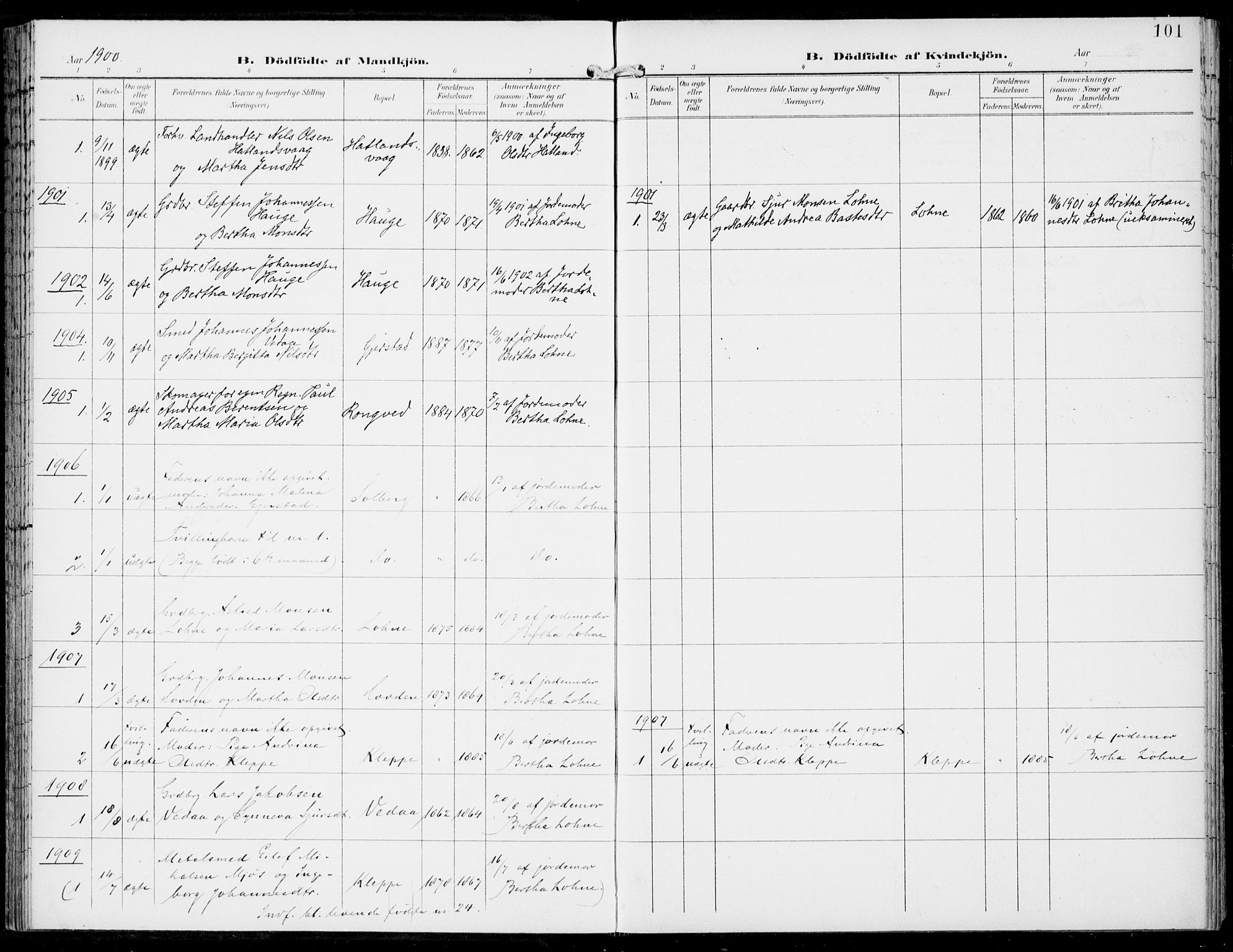 Haus sokneprestembete, AV/SAB-A-75601/H/Haa: Parish register (official) no. C  2, 1900-1915, p. 101