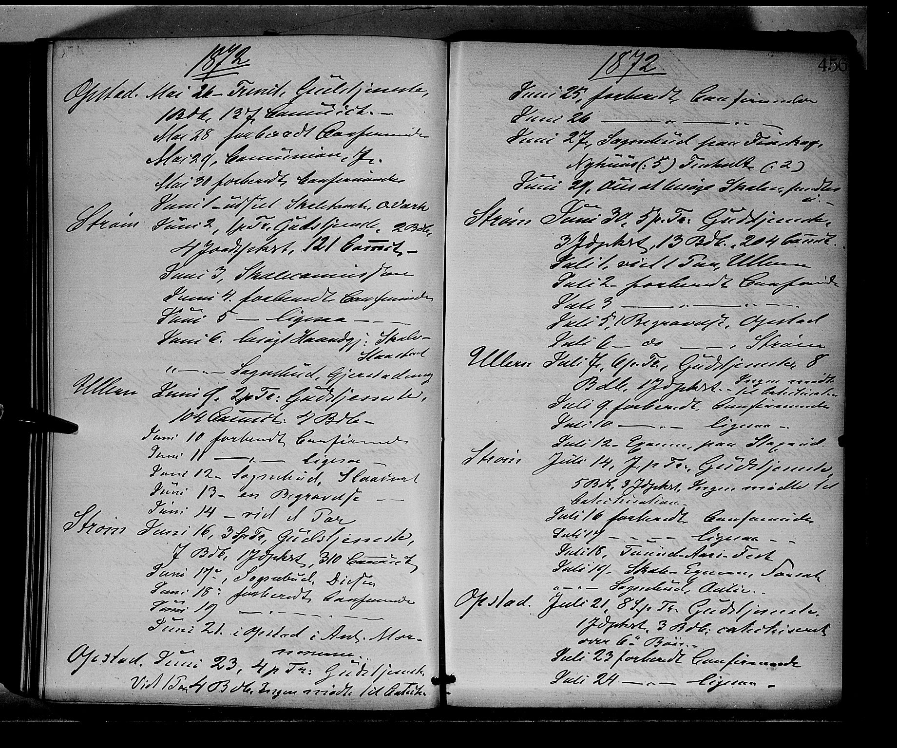 Sør-Odal prestekontor, AV/SAH-PREST-030/H/Ha/Haa/L0004: Parish register (official) no. 4, 1870-1875, p. 456