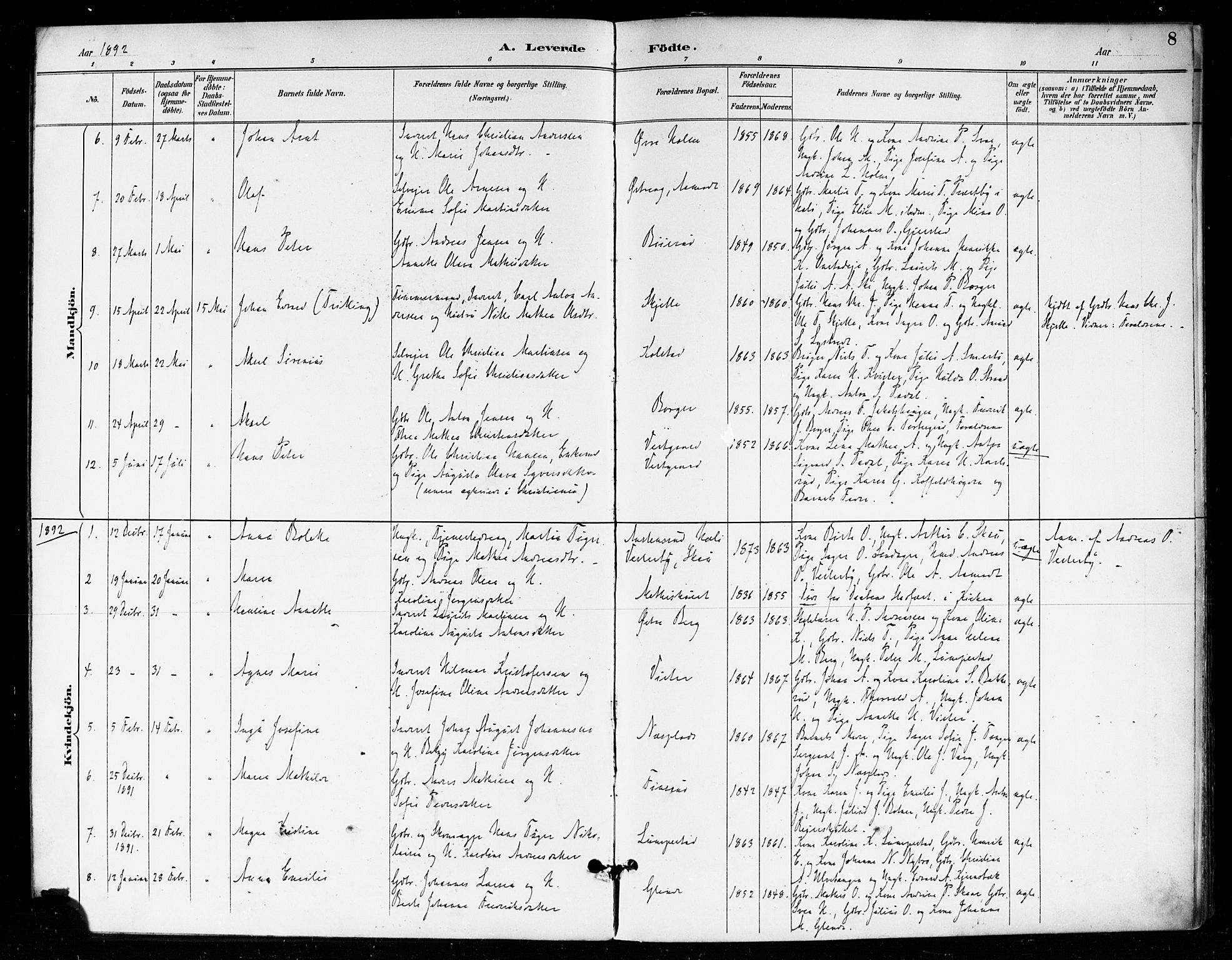Skiptvet prestekontor Kirkebøker, SAO/A-20009/F/Fa/L0010: Parish register (official) no. 10, 1890-1900, p. 8