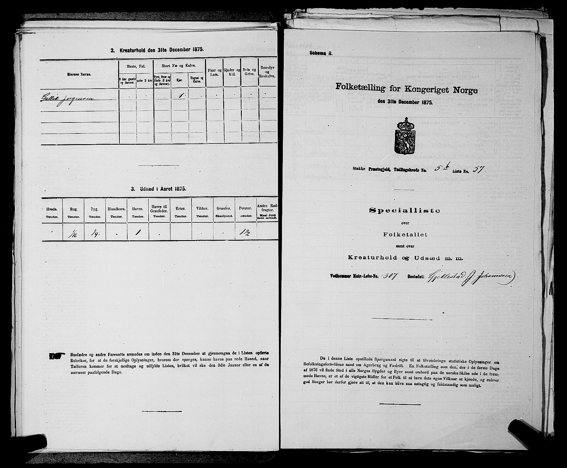 SAKO, 1875 census for 0720P Stokke, 1875, p. 1232