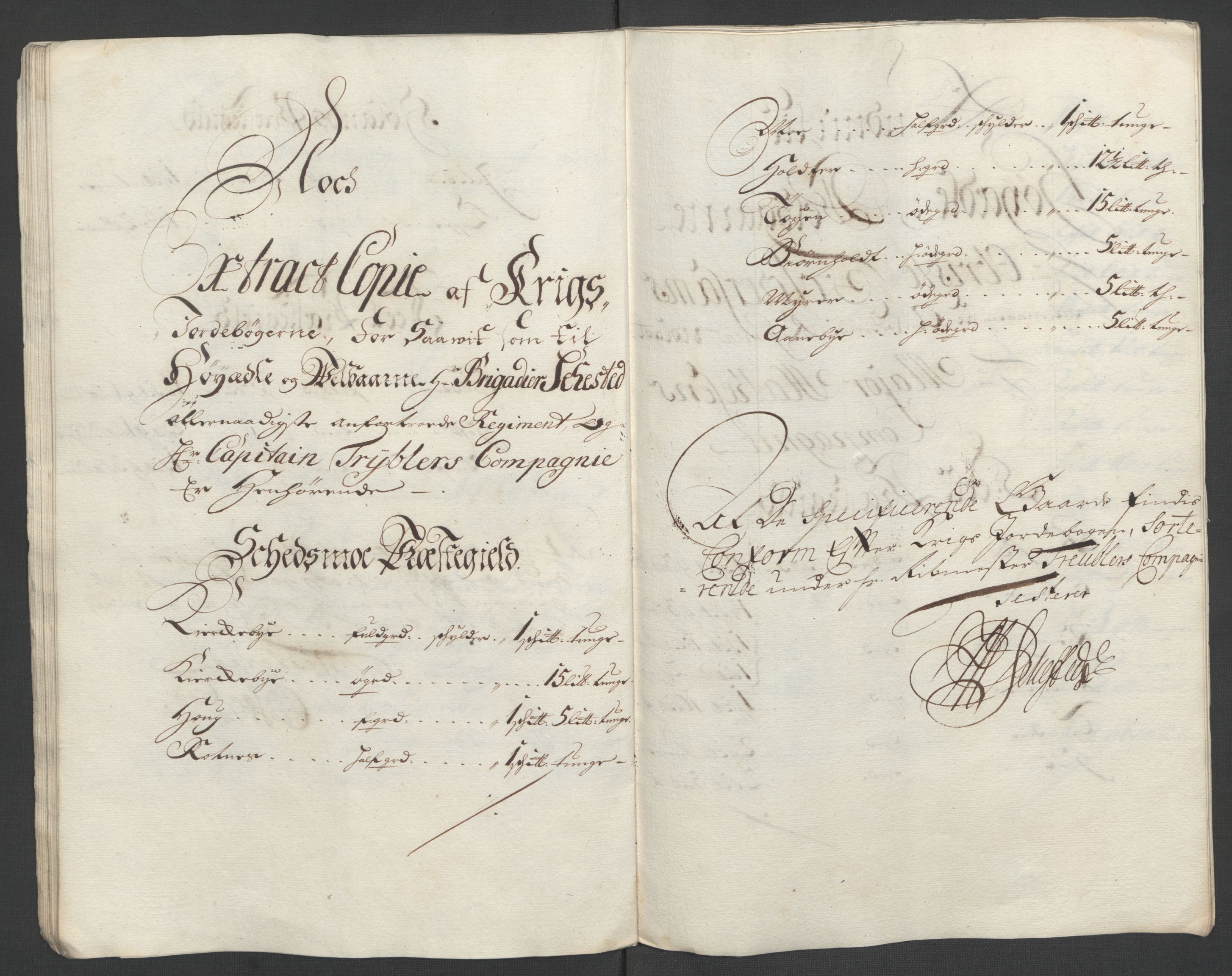 Rentekammeret inntil 1814, Reviderte regnskaper, Fogderegnskap, AV/RA-EA-4092/R11/L0589: Fogderegnskap Nedre Romerike, 1705, p. 266