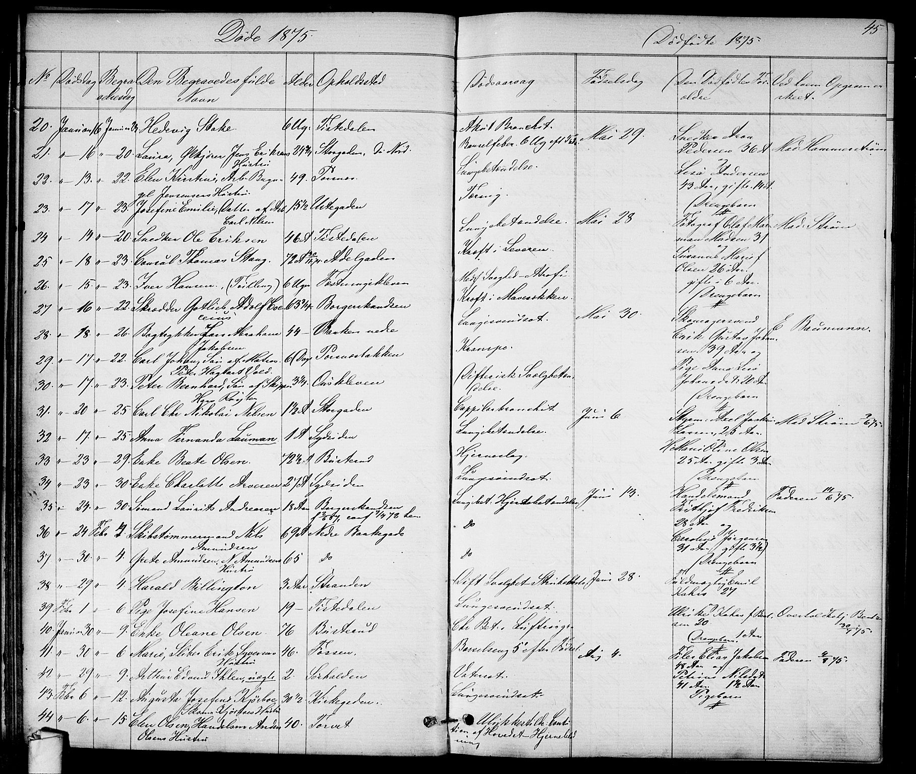 Halden prestekontor Kirkebøker, SAO/A-10909/G/Ga/L0007: Parish register (copy) no. 7, 1869-1884, p. 45
