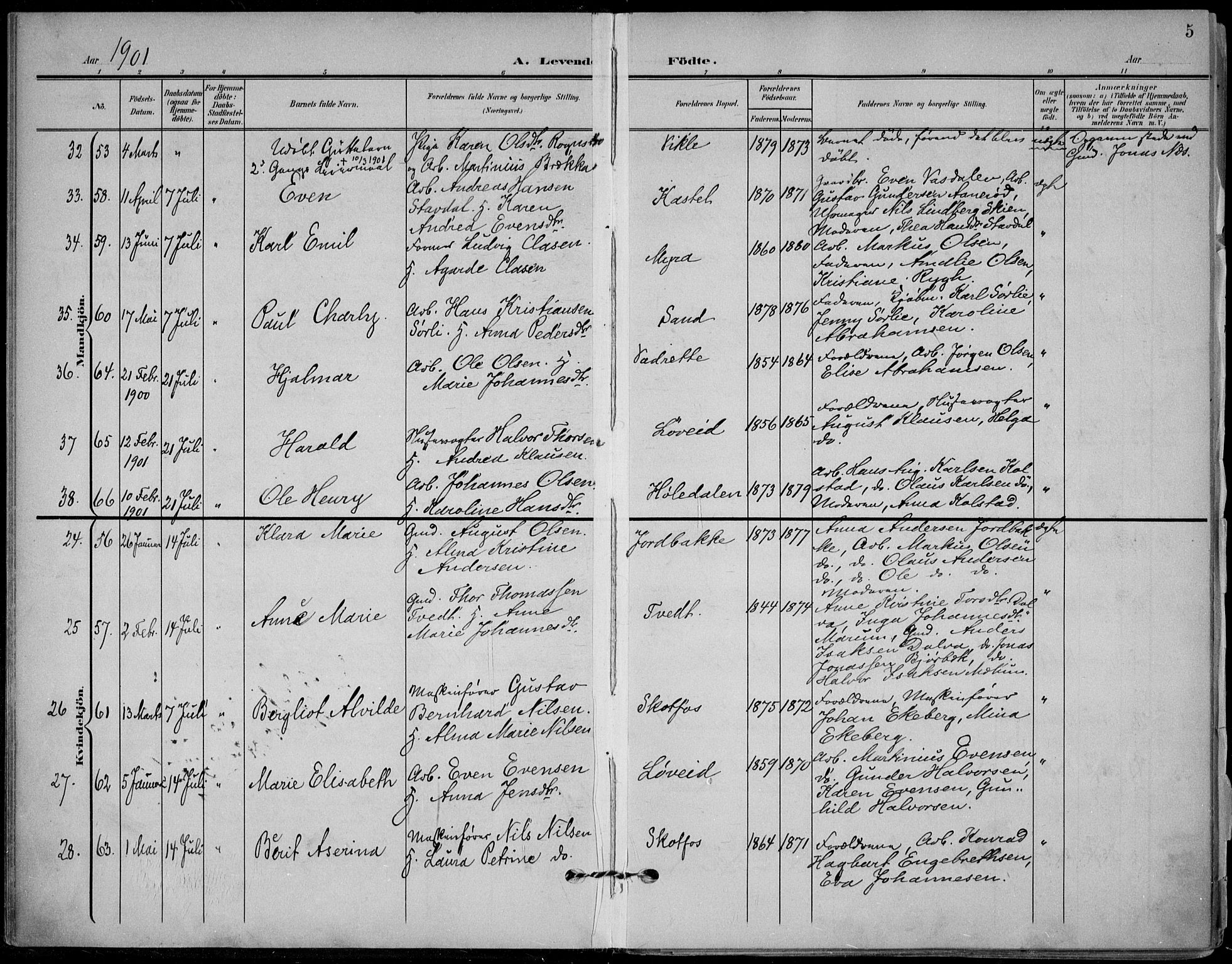 Solum kirkebøker, AV/SAKO-A-306/F/Fb/L0003: Parish register (official) no. II 3, 1901-1912, p. 5