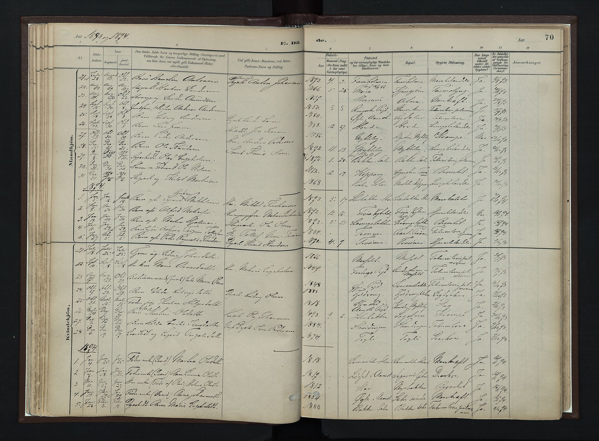 Stor-Elvdal prestekontor, AV/SAH-PREST-052/H/Ha/Haa/L0003: Parish register (official) no. 3, 1882-1901, p. 70