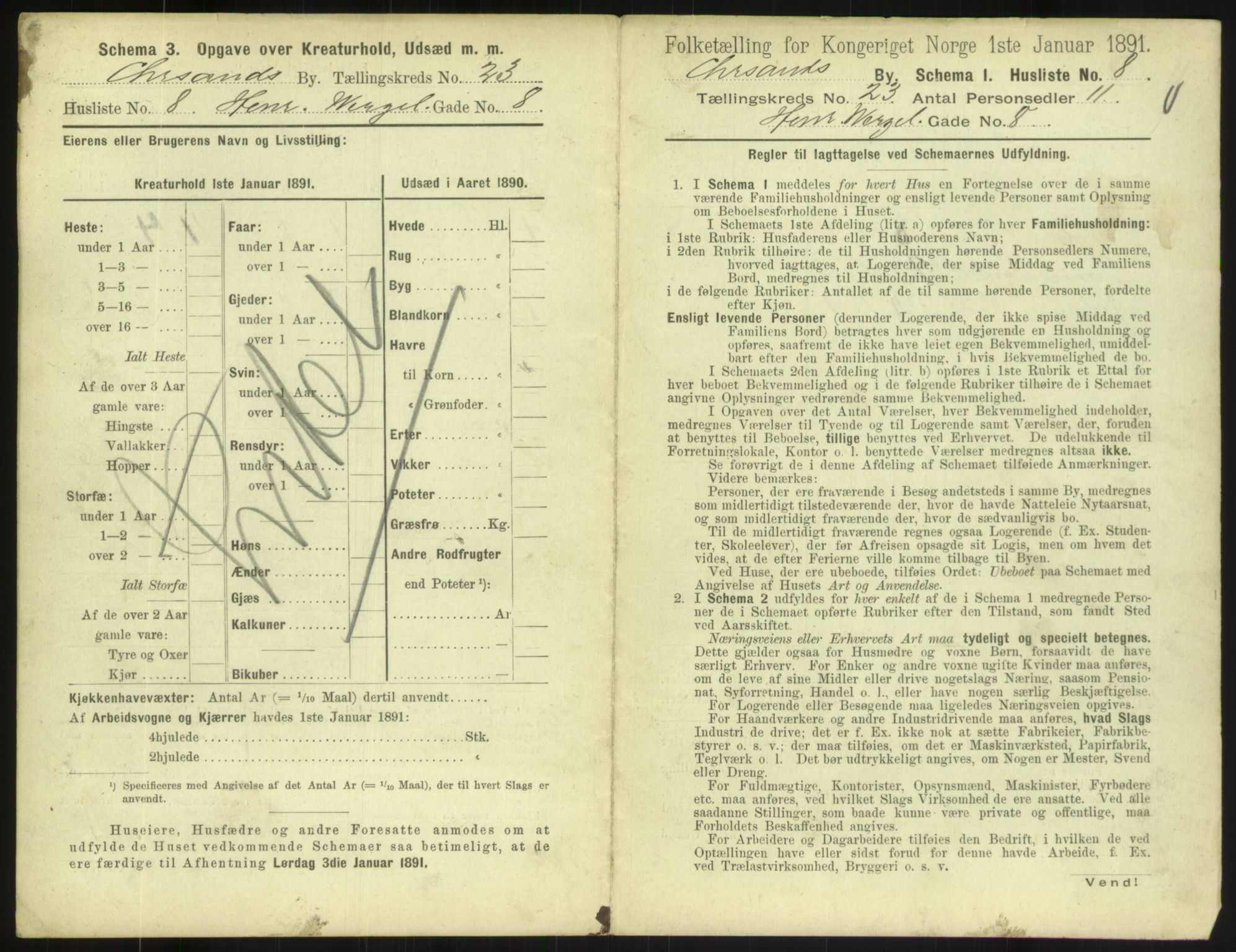 RA, 1891 census for 1001 Kristiansand, 1891, p. 1338