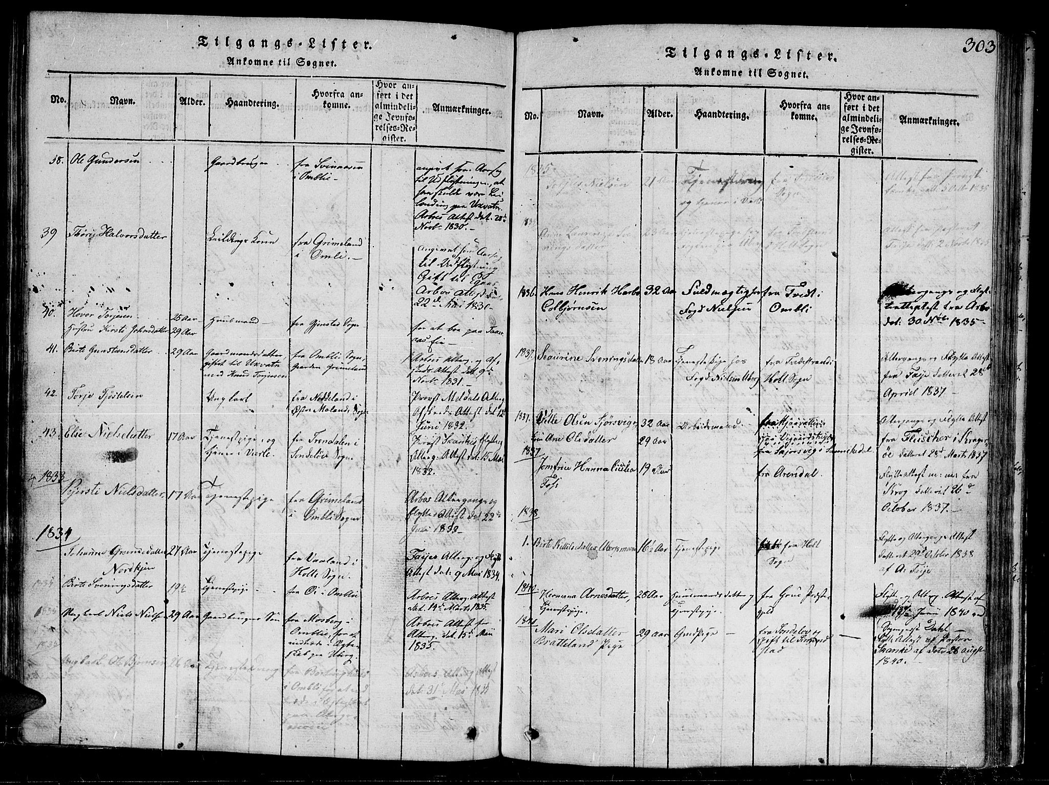 Gjerstad sokneprestkontor, AV/SAK-1111-0014/F/Fb/Fbb/L0001: Parish register (copy) no. B 1, 1813-1863, p. 303