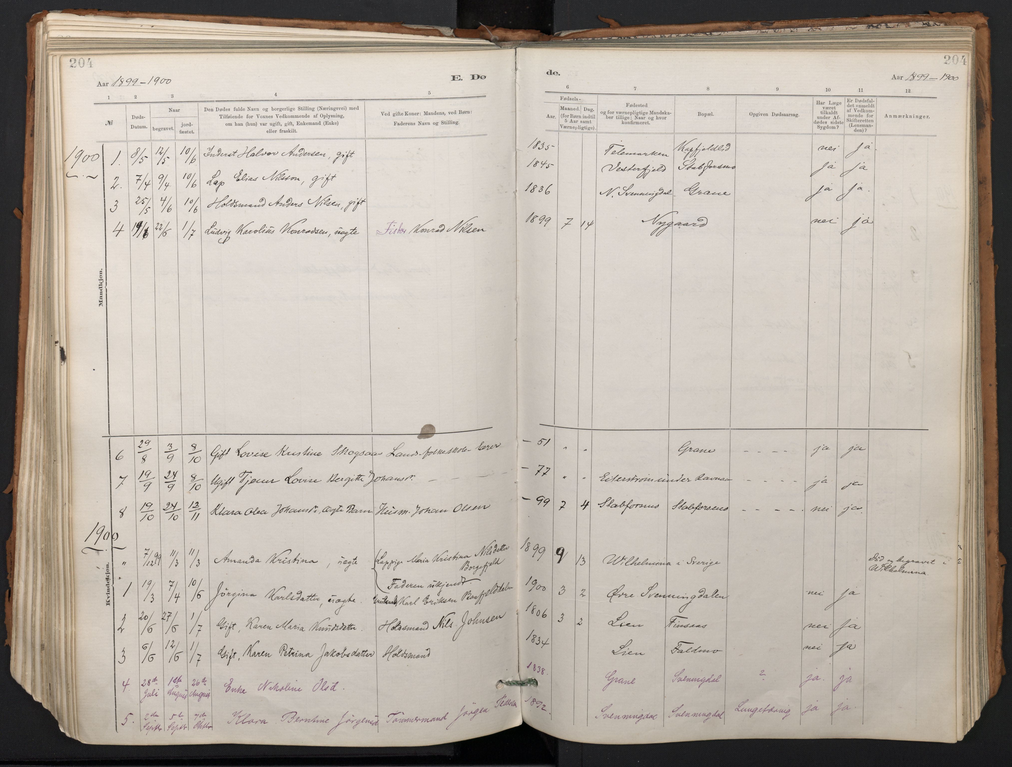 Ministerialprotokoller, klokkerbøker og fødselsregistre - Nordland, SAT/A-1459/824/L0338: Parish register (official) no. 824A01, 1880-1915, p. 204