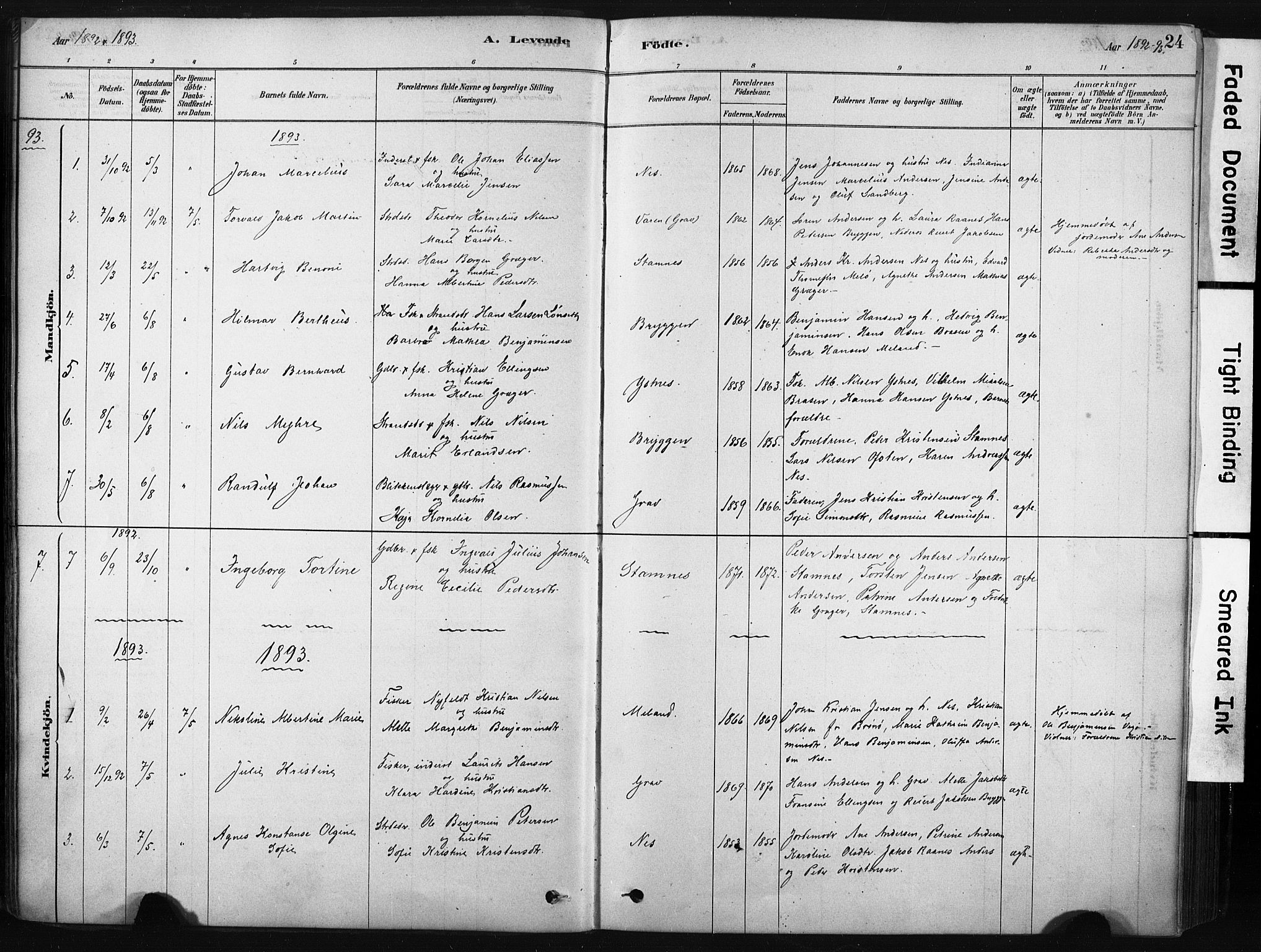 Ministerialprotokoller, klokkerbøker og fødselsregistre - Nordland, AV/SAT-A-1459/808/L0128: Parish register (official) no. 808A01, 1880-1902, p. 24