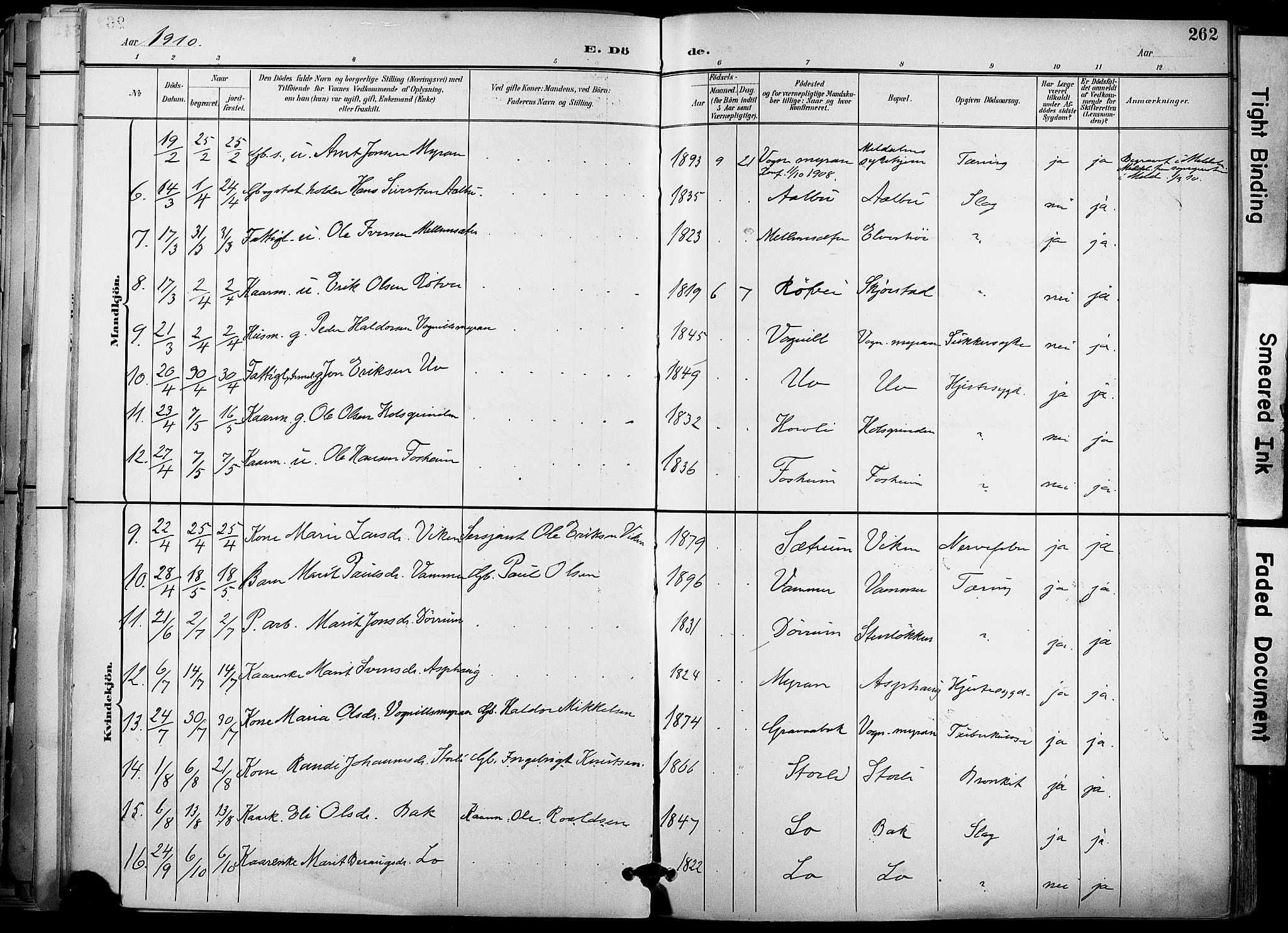 Ministerialprotokoller, klokkerbøker og fødselsregistre - Sør-Trøndelag, AV/SAT-A-1456/678/L0902: Parish register (official) no. 678A11, 1895-1911, p. 262