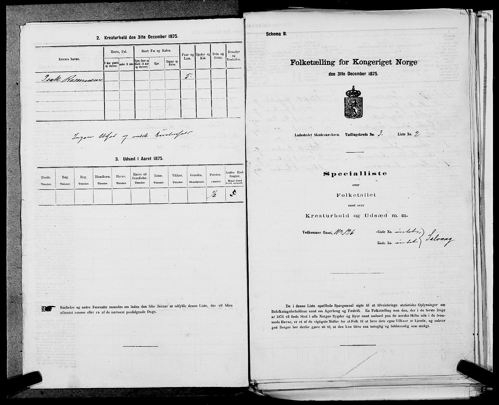 SAST, 1875 census for 1104B Skudenes/Skudeneshavn, 1875, p. 257