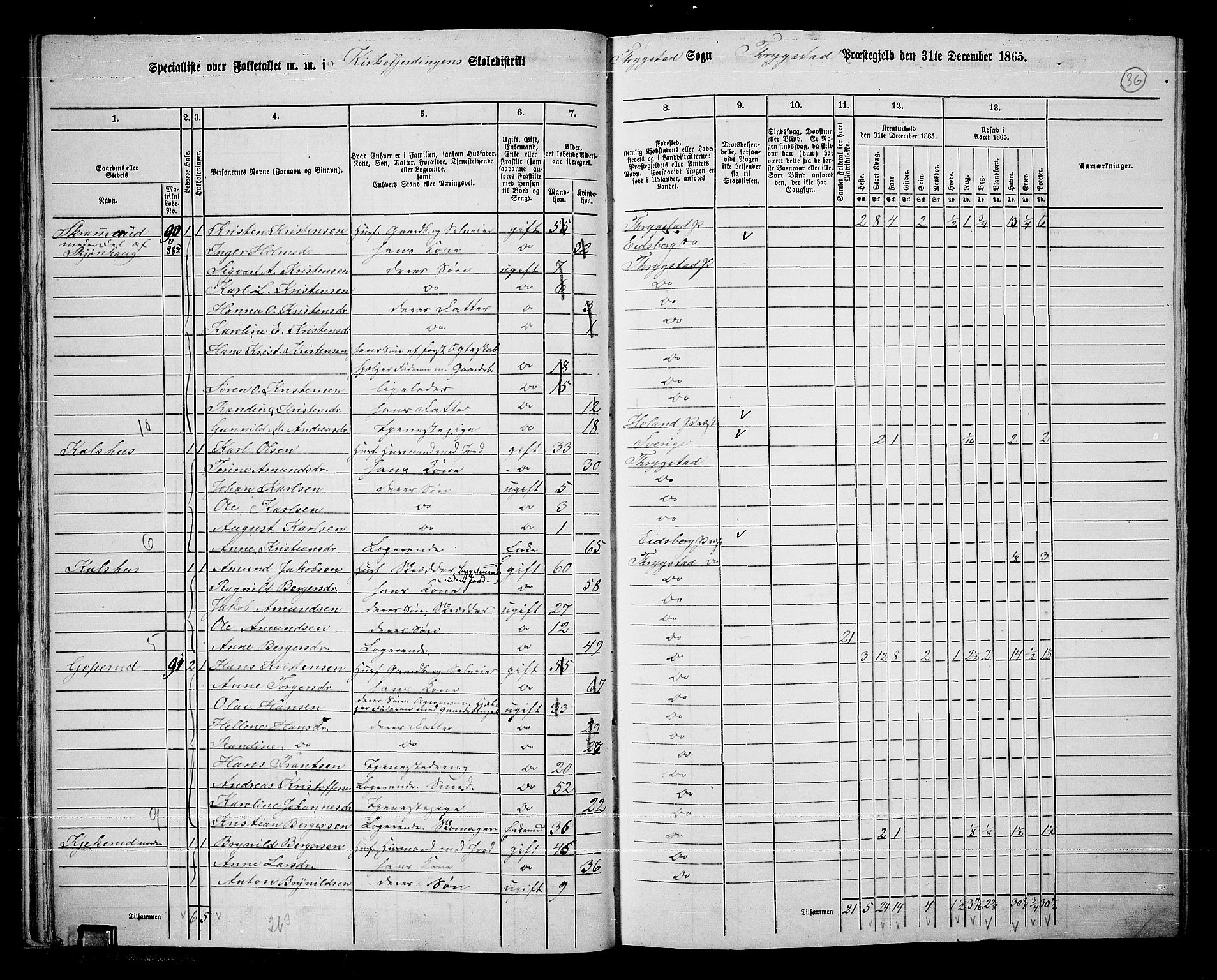 RA, 1865 census for Trøgstad, 1865, p. 35