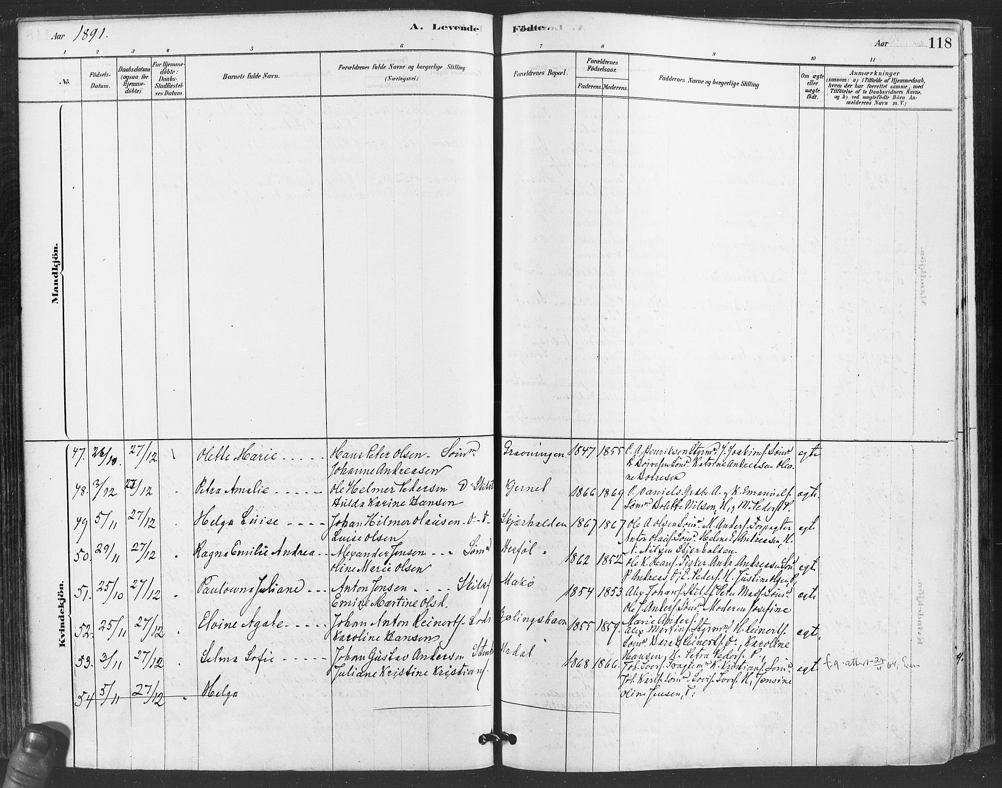 Hvaler prestekontor Kirkebøker, SAO/A-2001/F/Fa/L0008: Parish register (official) no. I 8, 1878-1895, p. 118