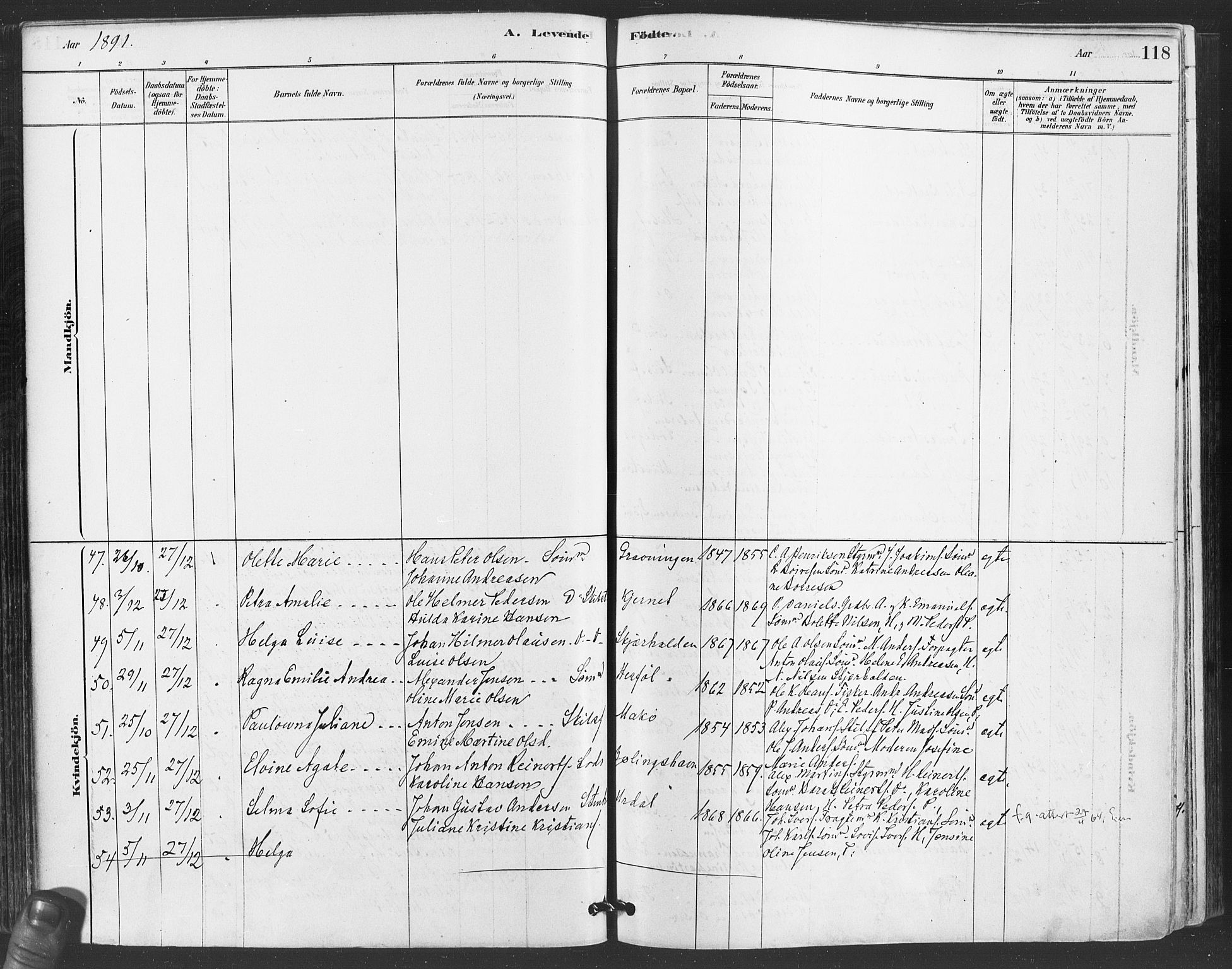 Hvaler prestekontor Kirkebøker, AV/SAO-A-2001/F/Fa/L0008: Parish register (official) no. I 8, 1878-1895, p. 118