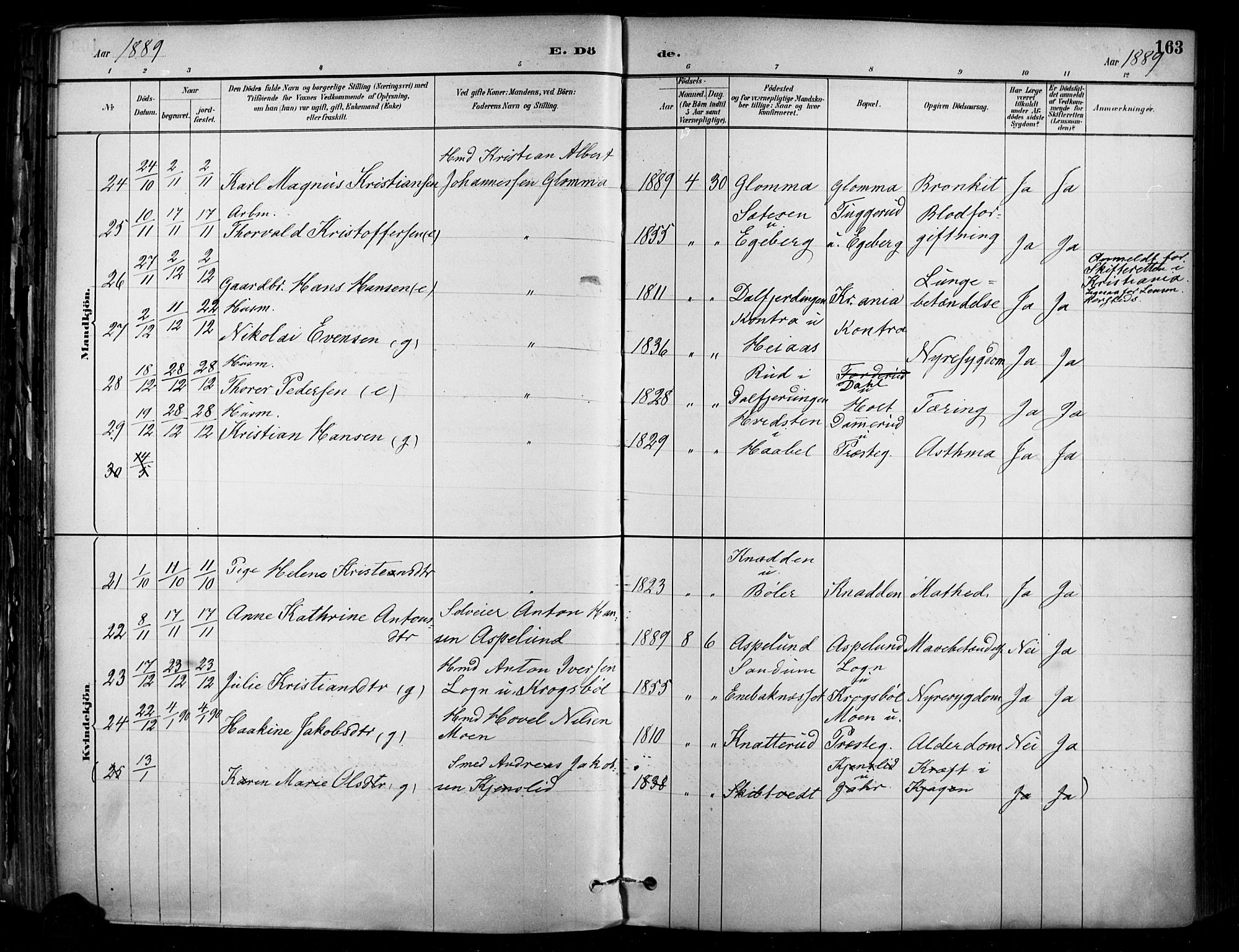 Enebakk prestekontor Kirkebøker, SAO/A-10171c/F/Fa/L0016: Parish register (official) no. I 16, 1883-1898, p. 163